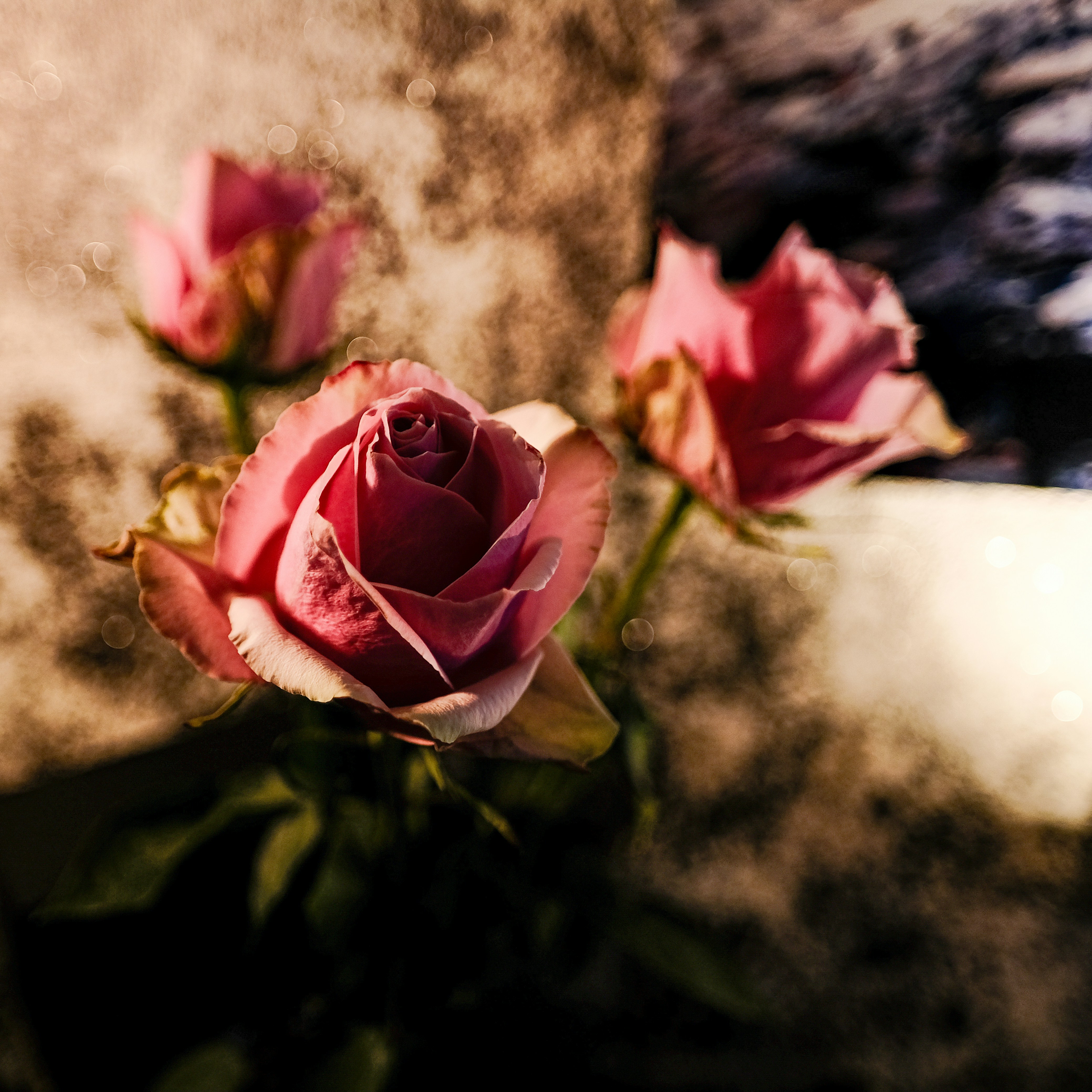 Photo by haberdoedas2