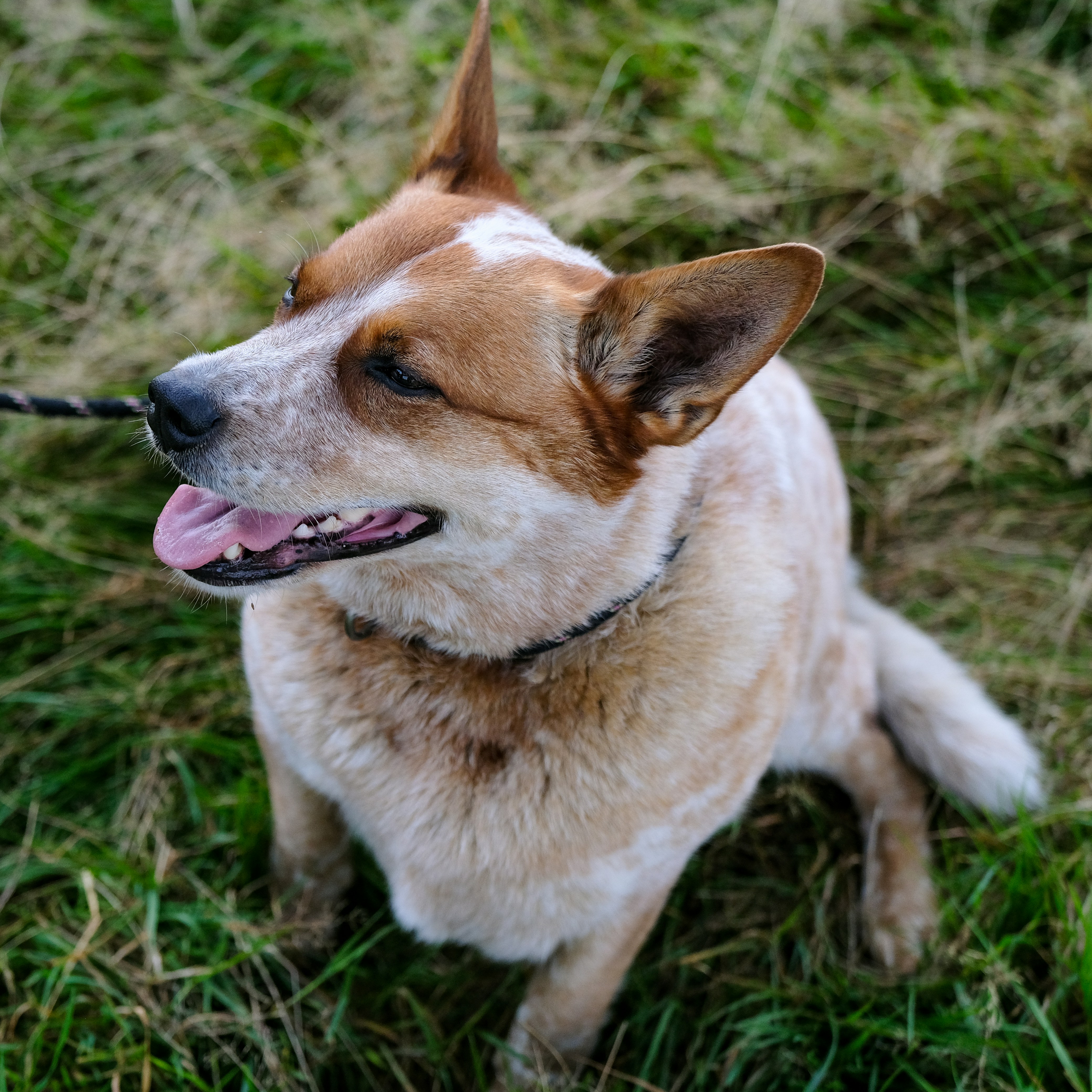 Photo by haberdoedas2