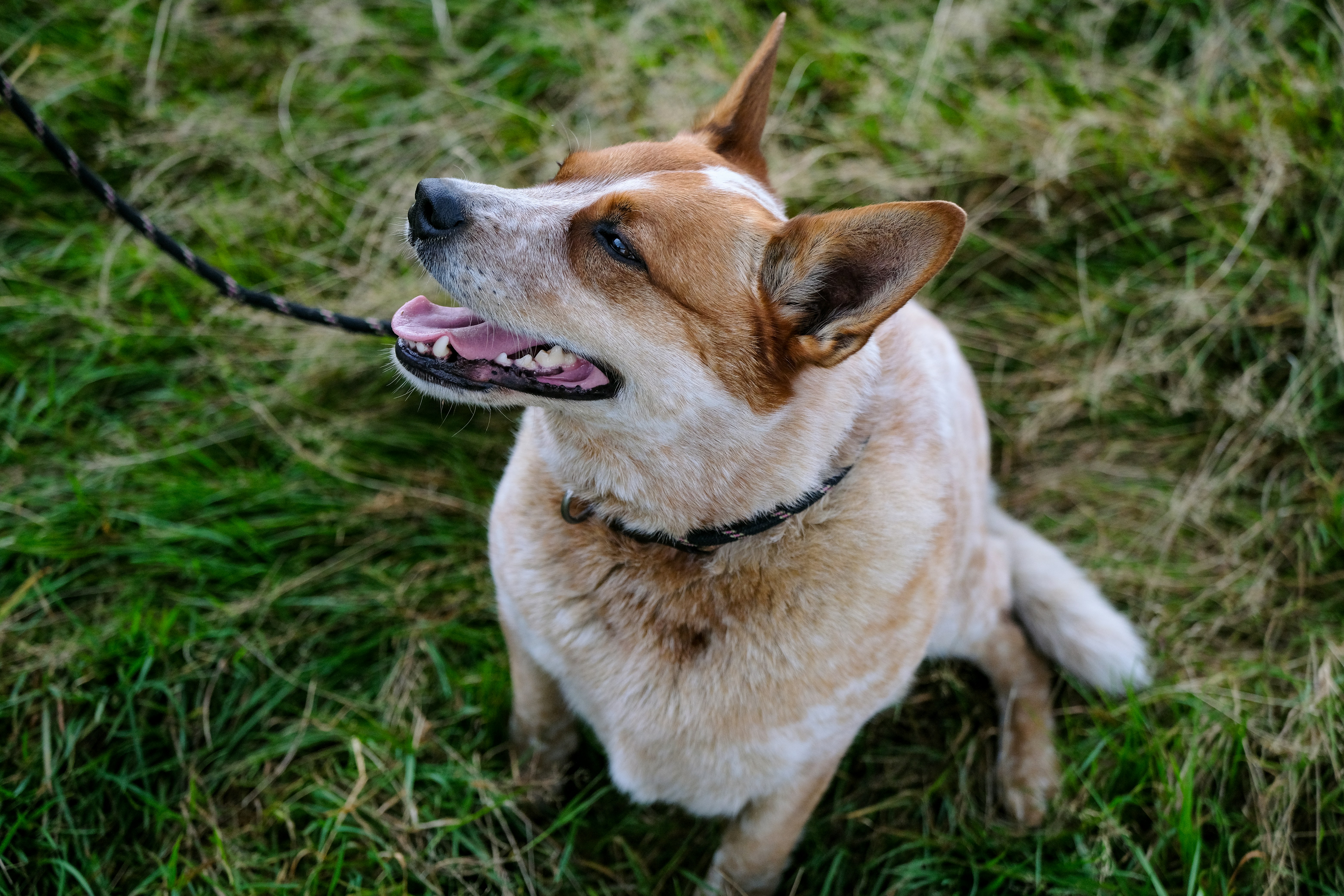 Photo by haberdoedas2