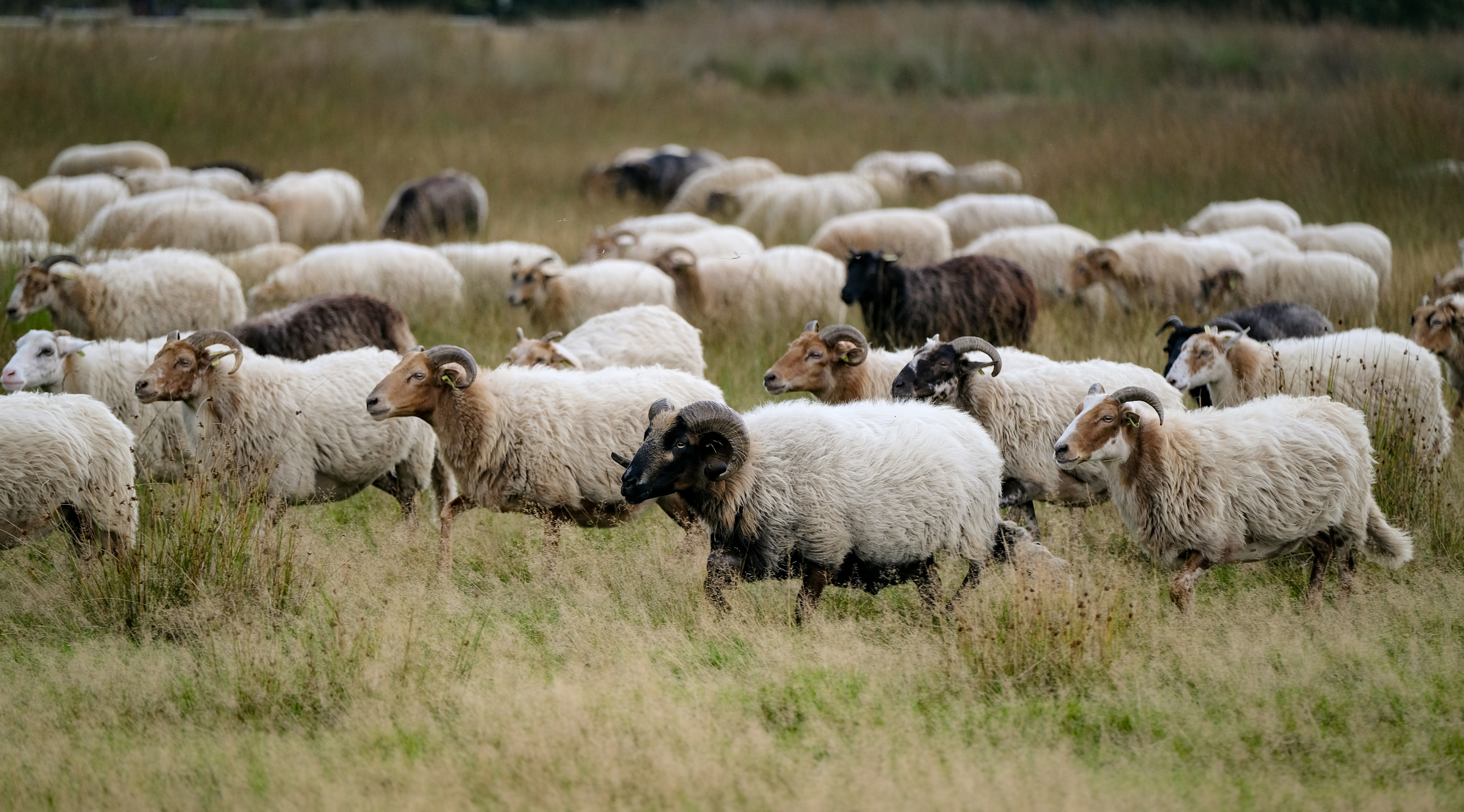 Photo by haberdoedas2