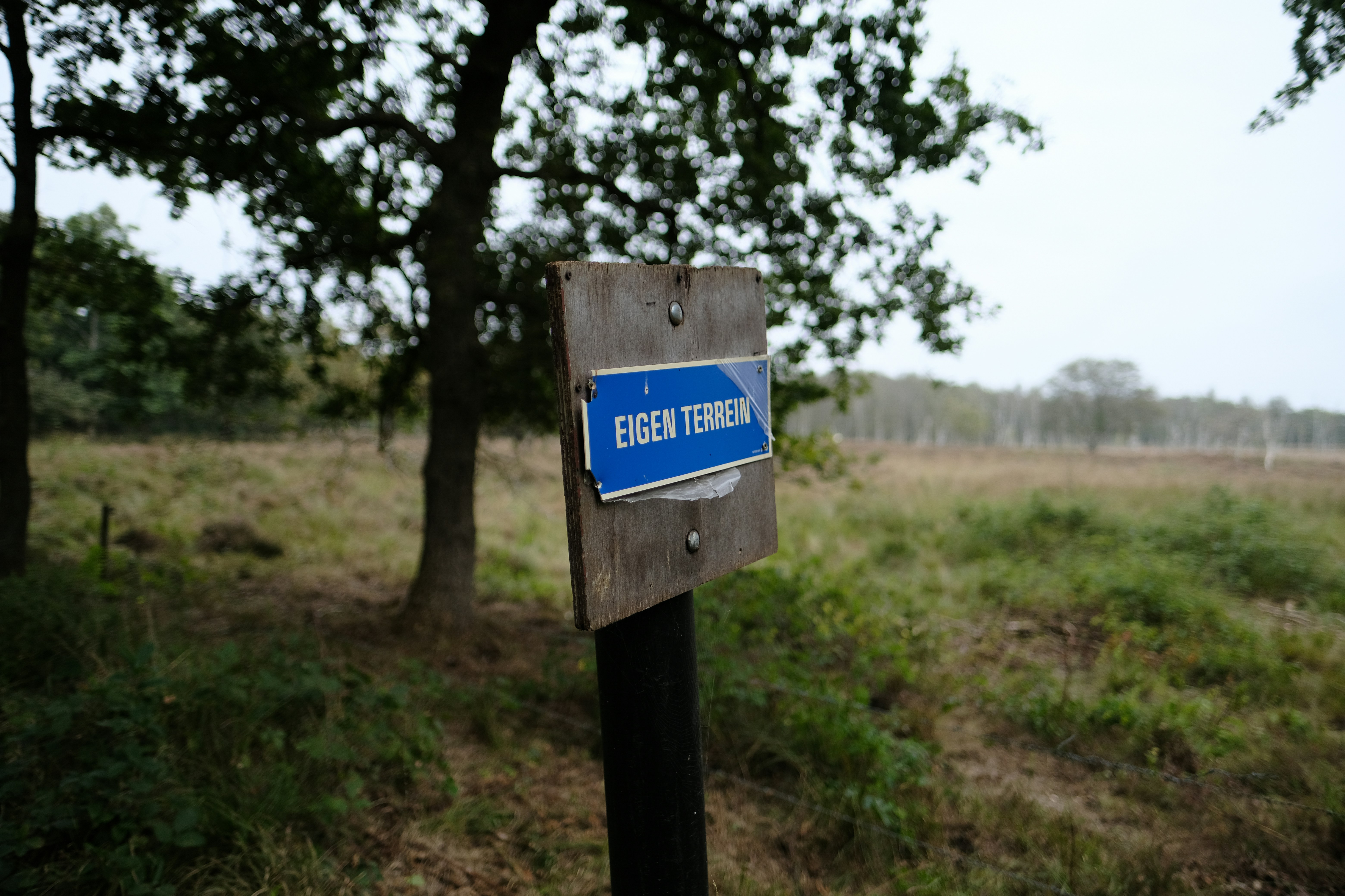 Photo by haberdoedas2