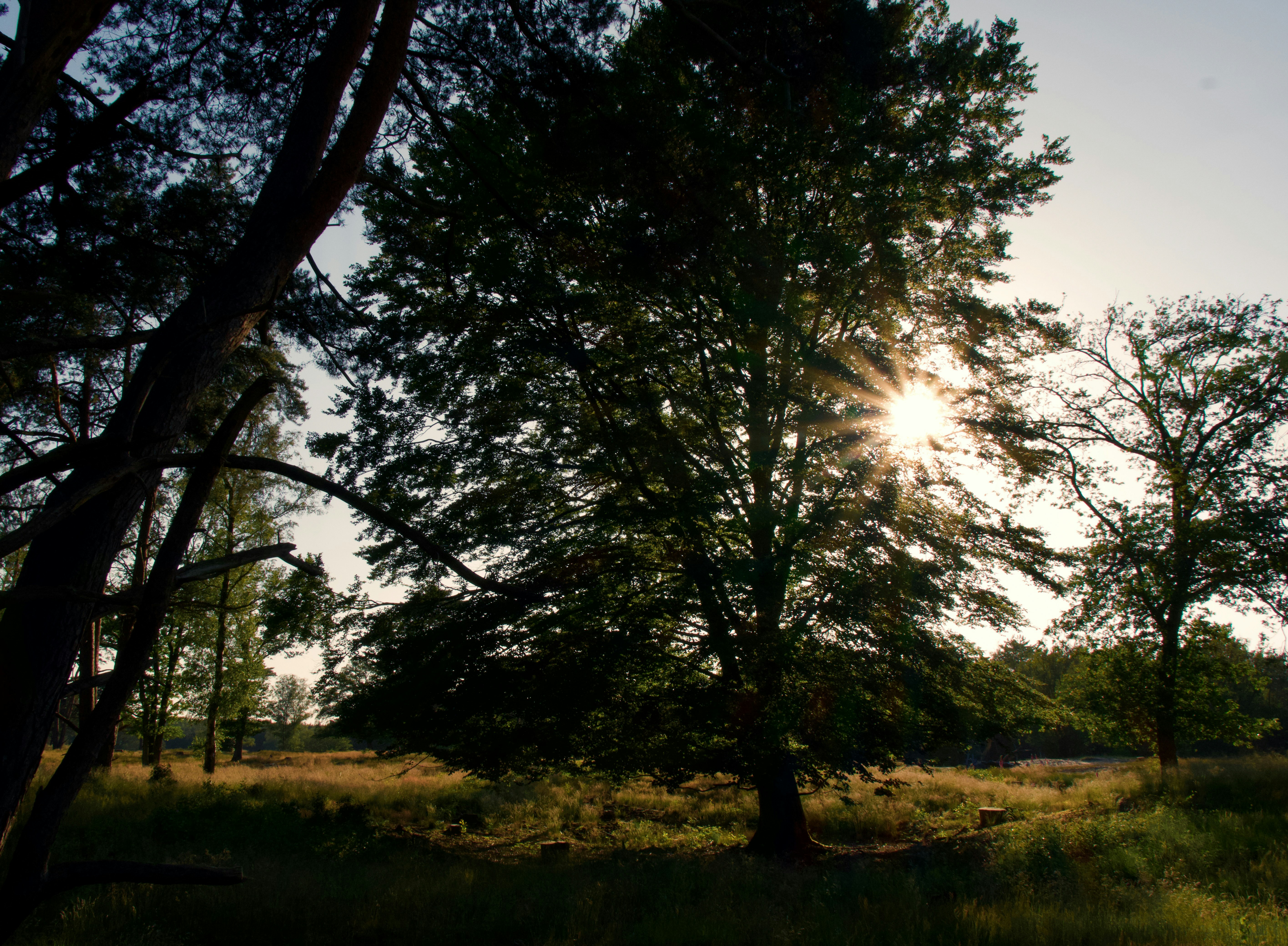 Photo by haberdoedas2