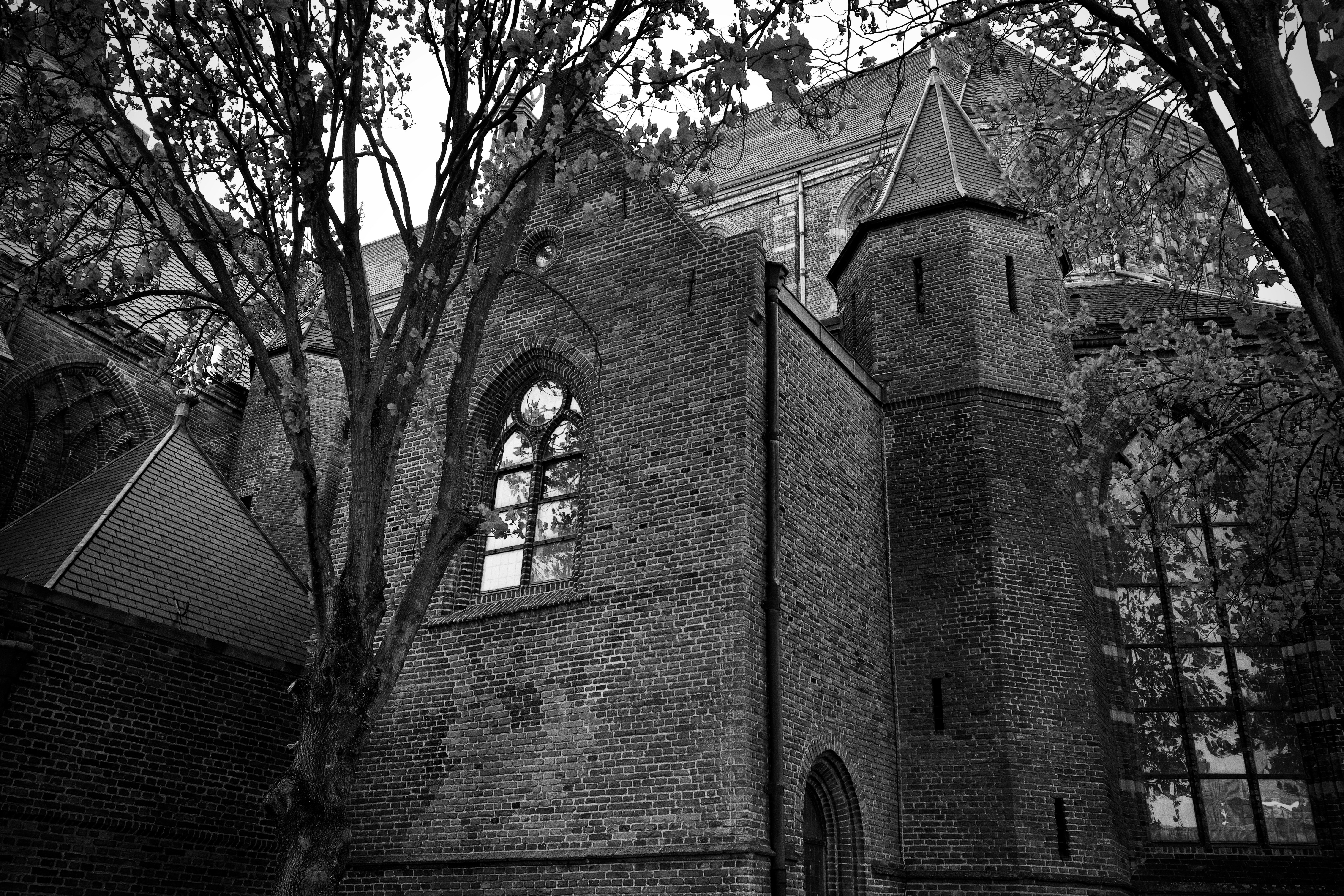 Photo by haberdoedas2