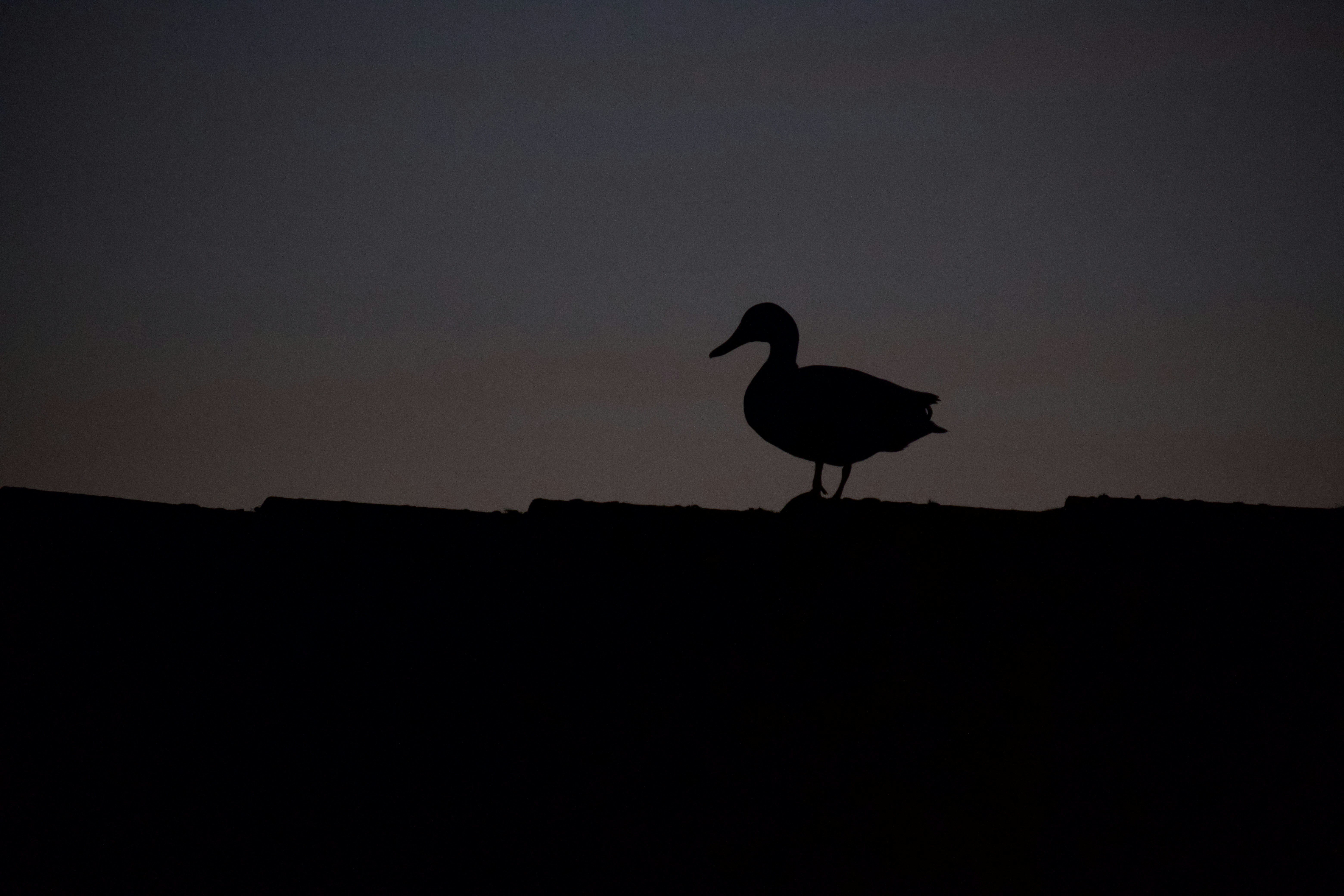 Photo by haberdoedas2