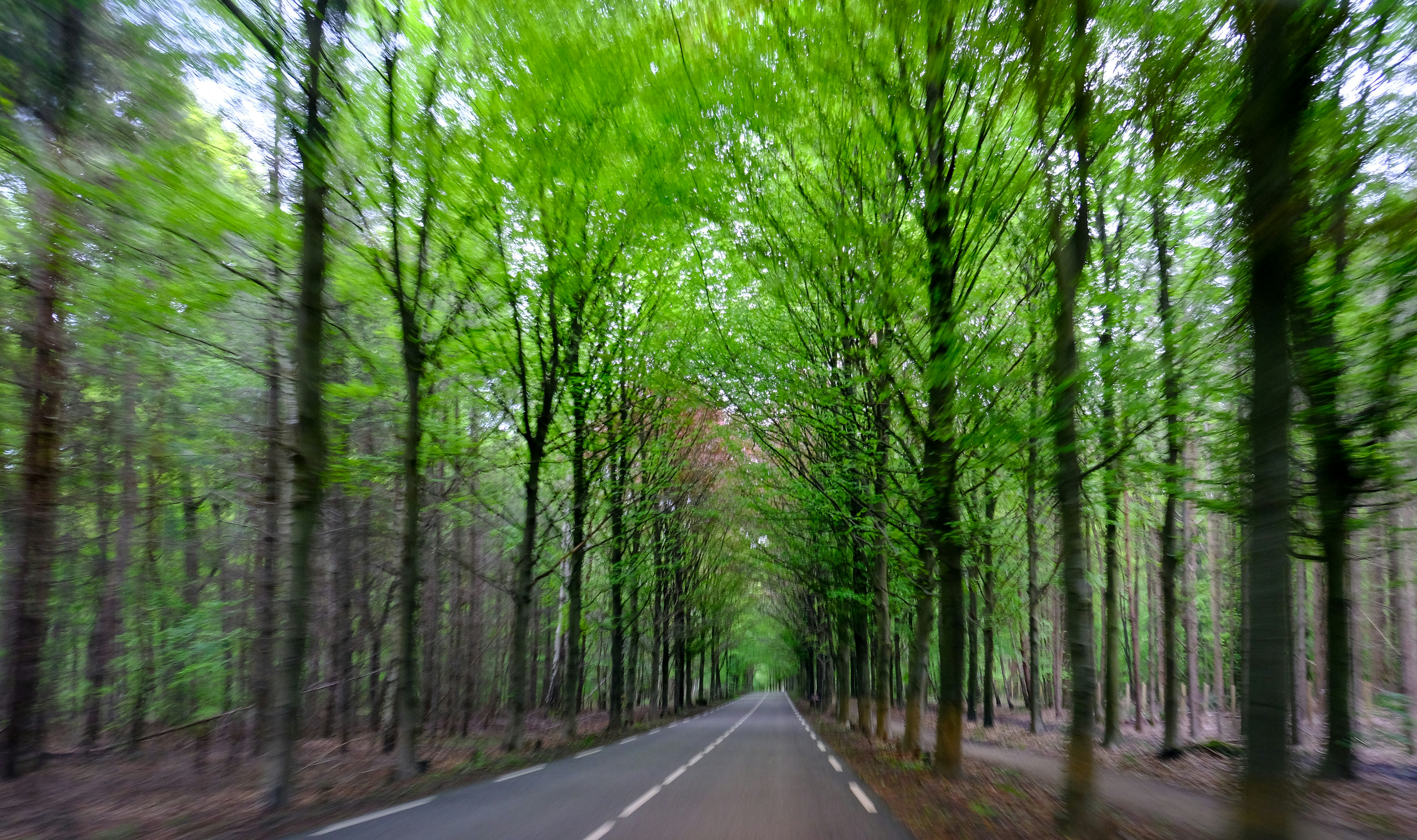 Photo by haberdoedas2