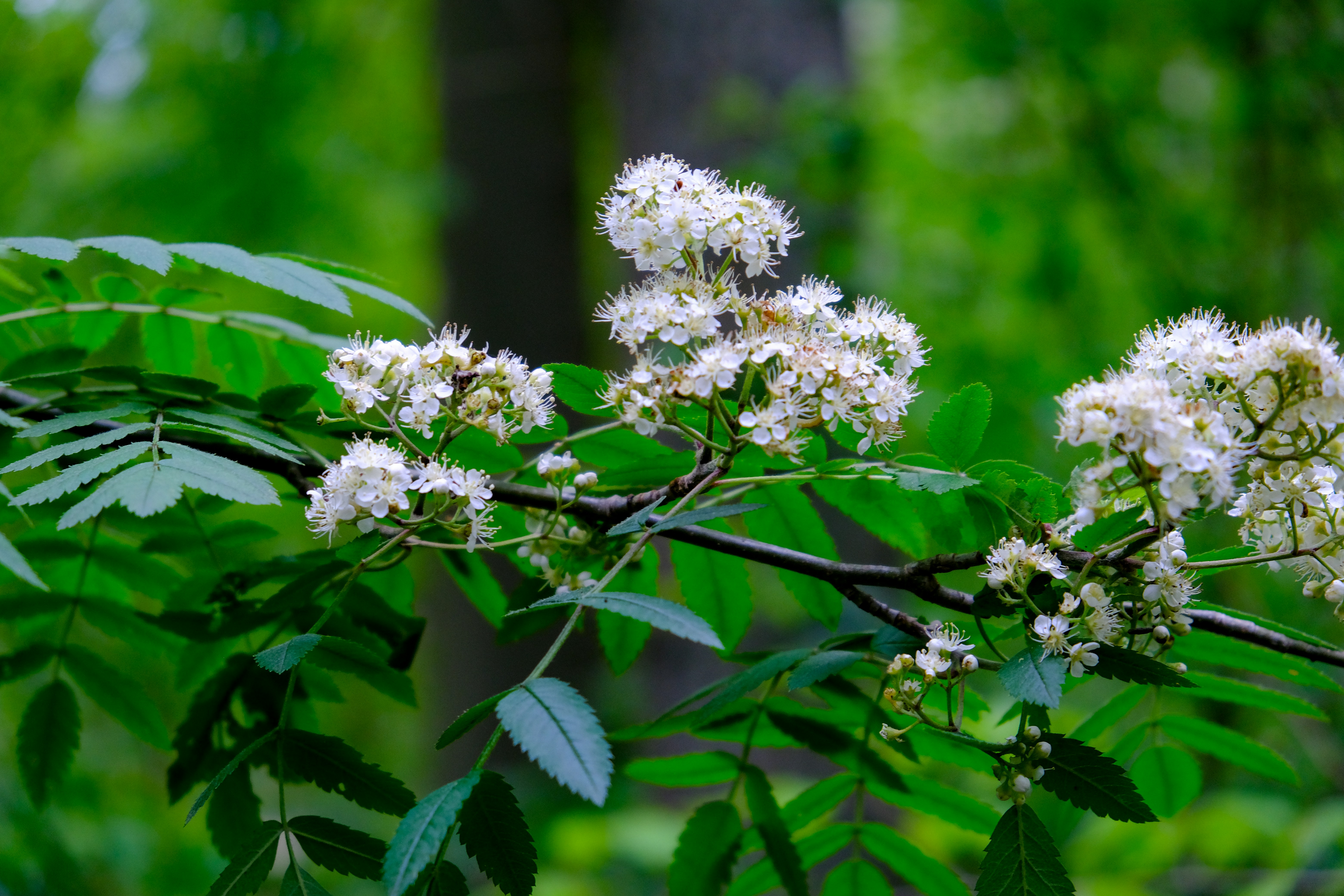 Photo by haberdoedas2