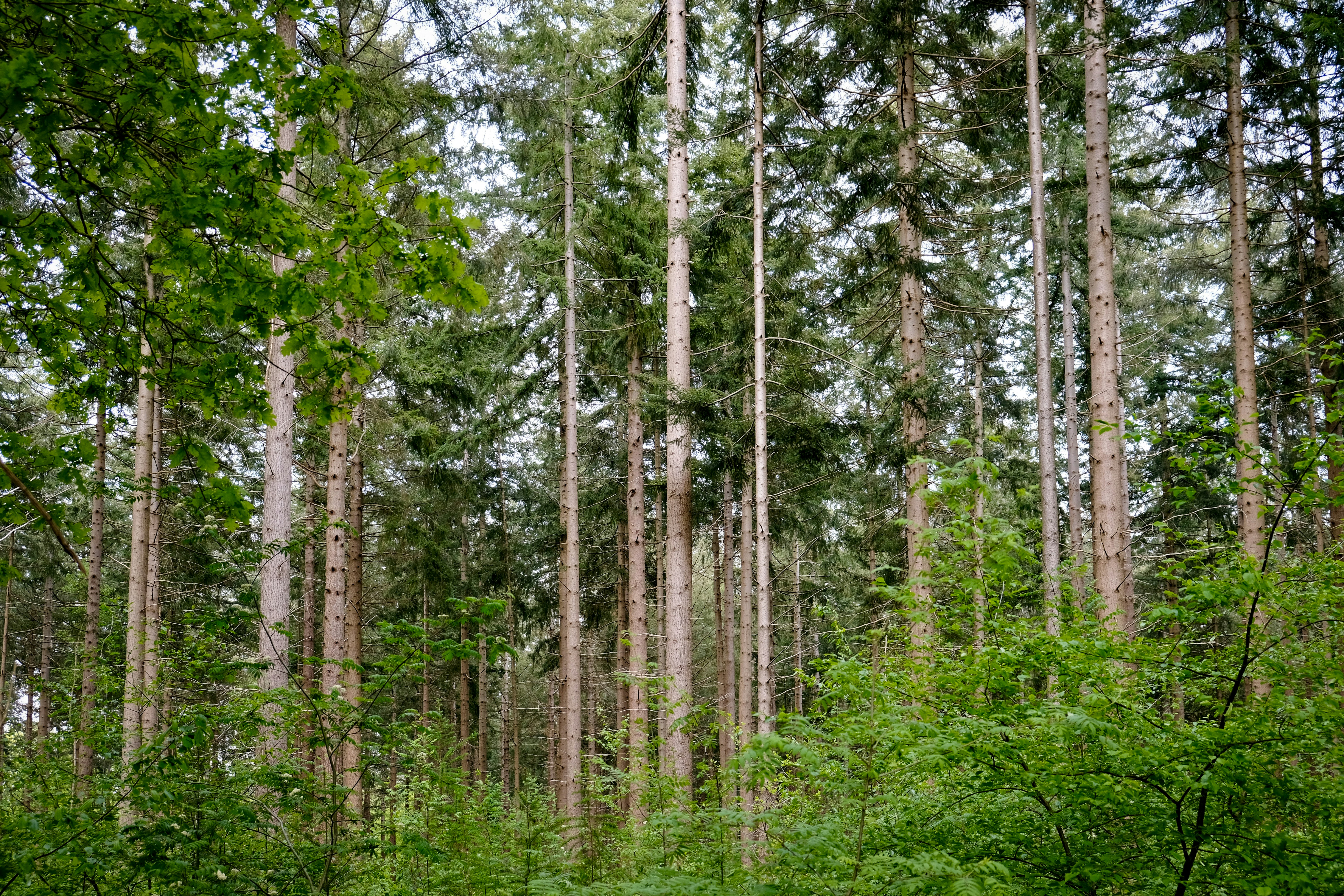 Photo by haberdoedas2