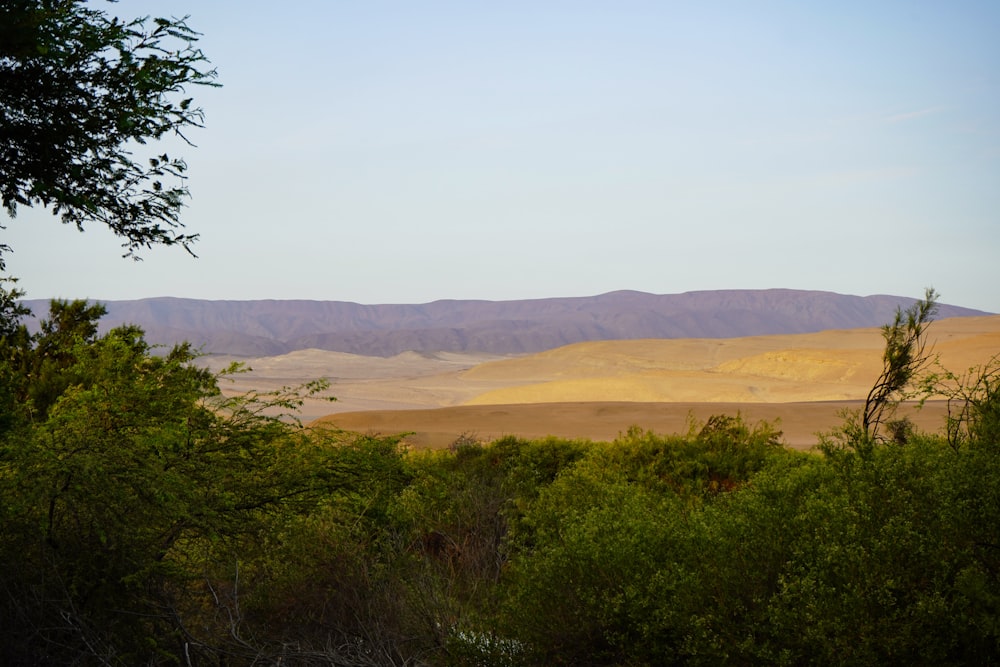 a view of a mountain range with trees in the foreground