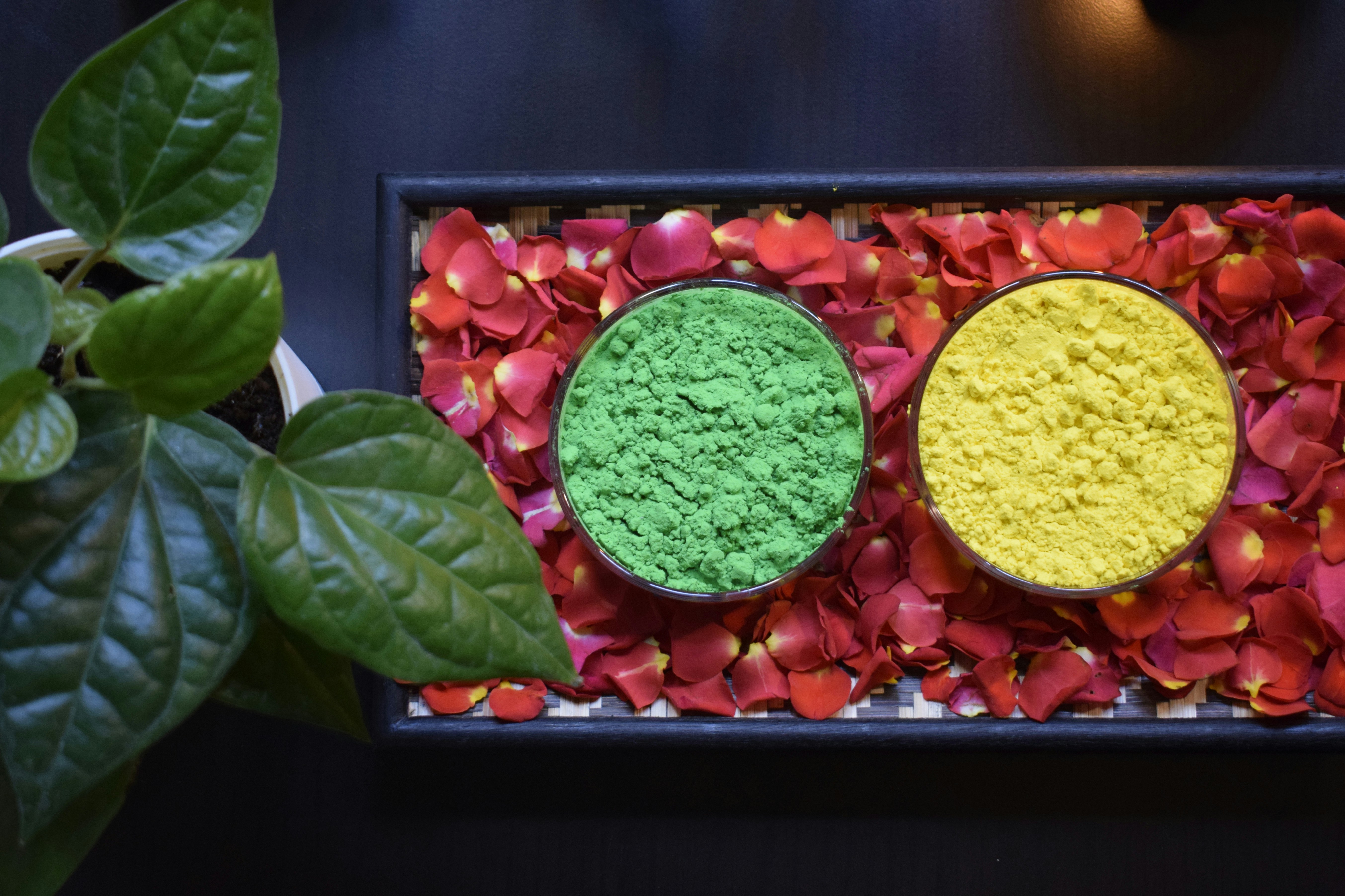 two bowls of green and yellow powder next to a potted plant