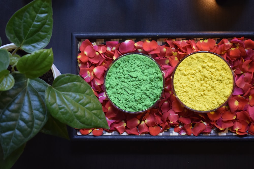 two bowls of green and yellow powder next to a potted plant