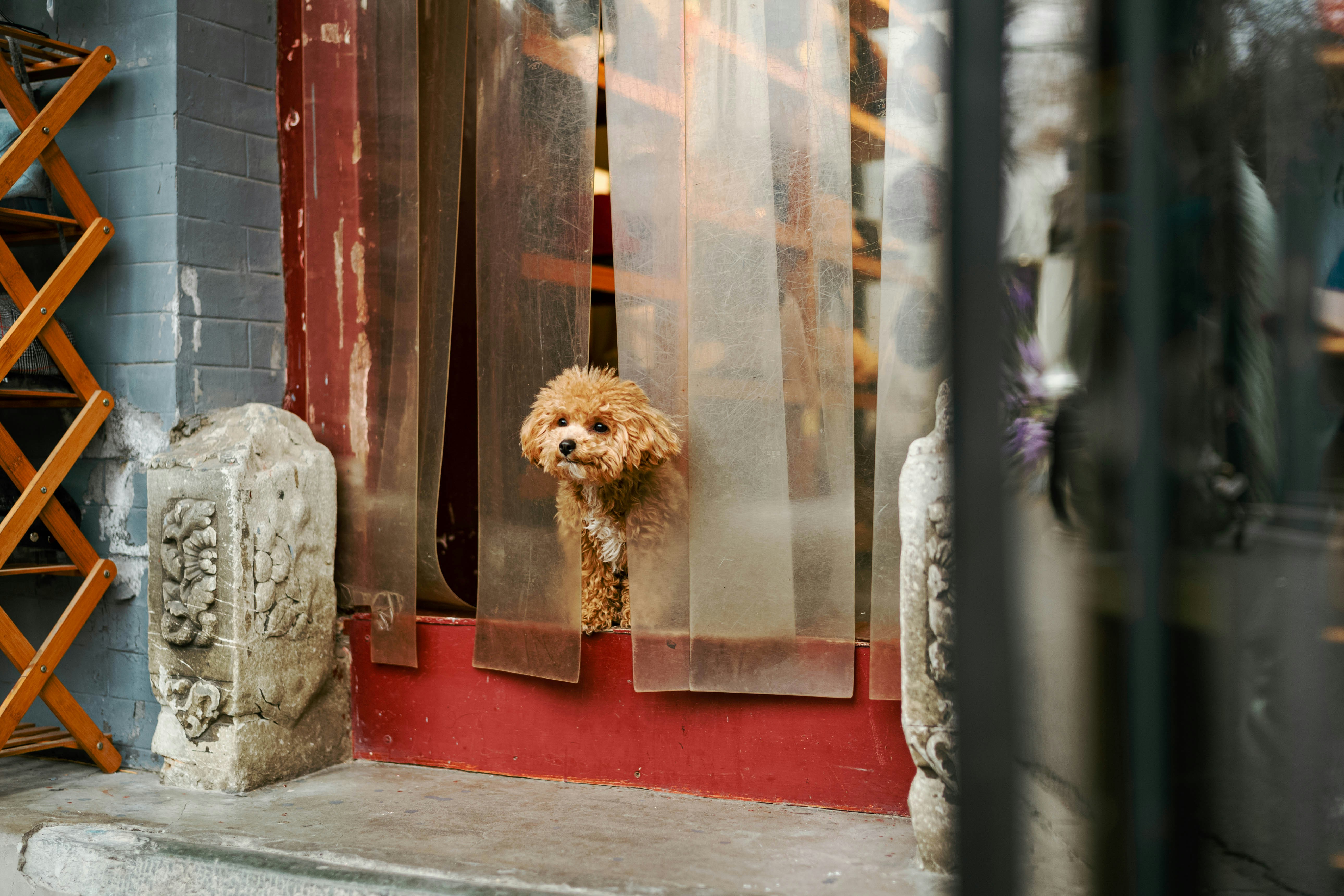 Photo by tommaomaoer