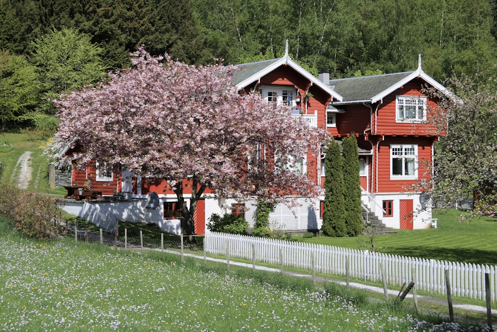 a red house with a tree in front of it