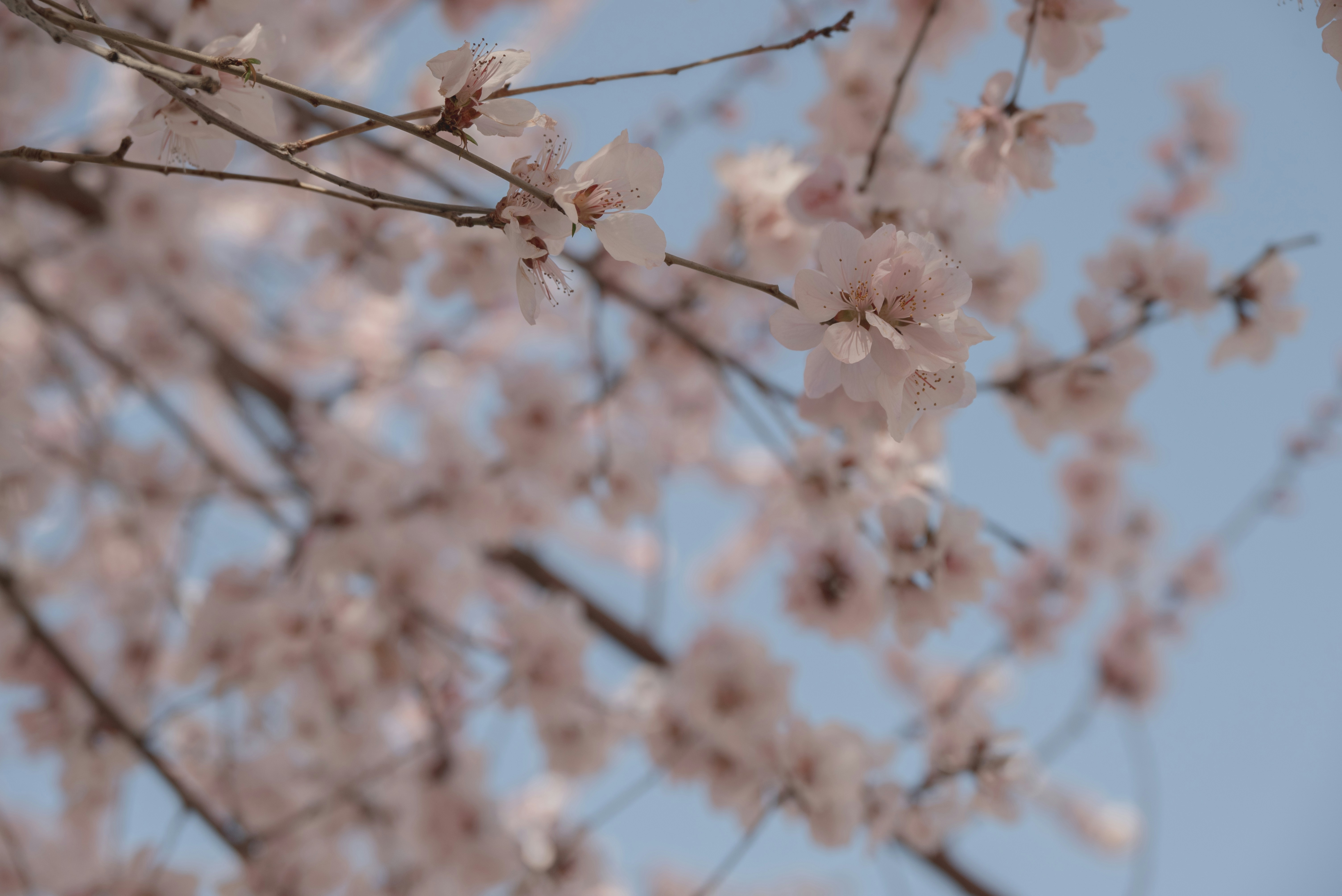 Photo by nikol_royce