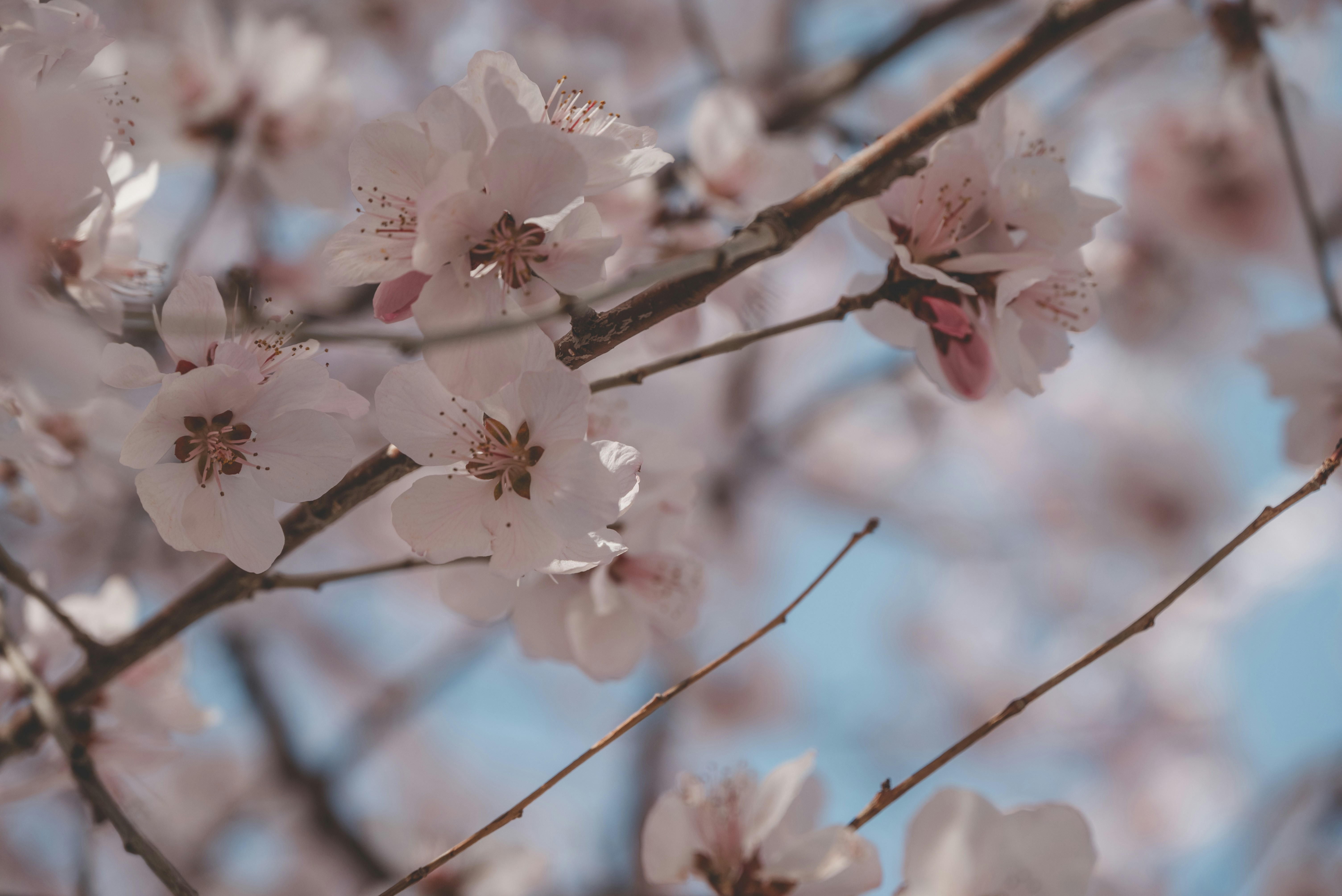 Photo by nikol_royce