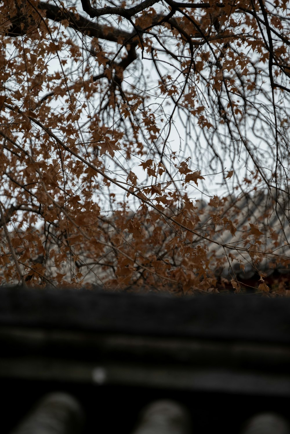 une horloge sur un poteau devant un arbre