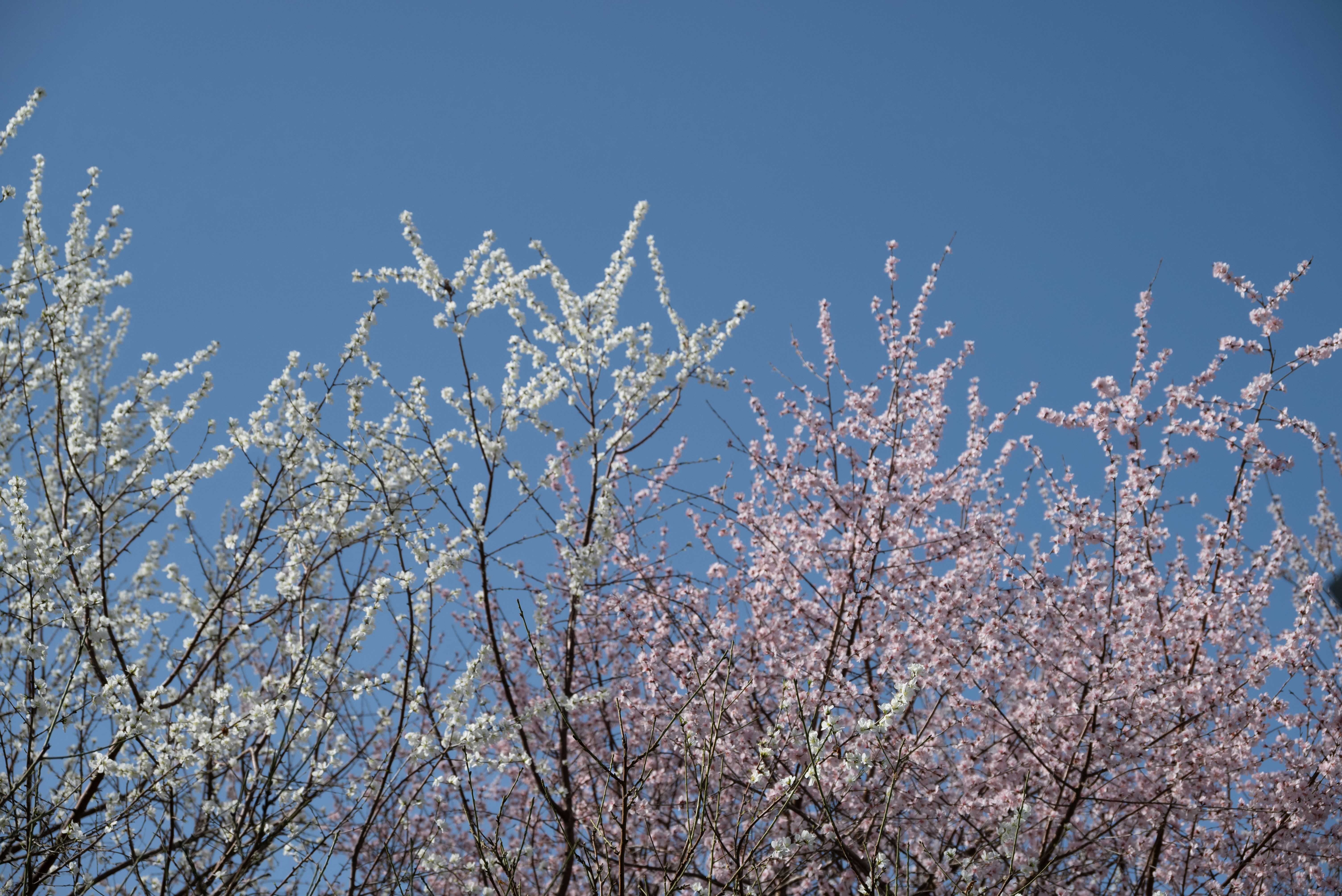 Photo by nikol_royce