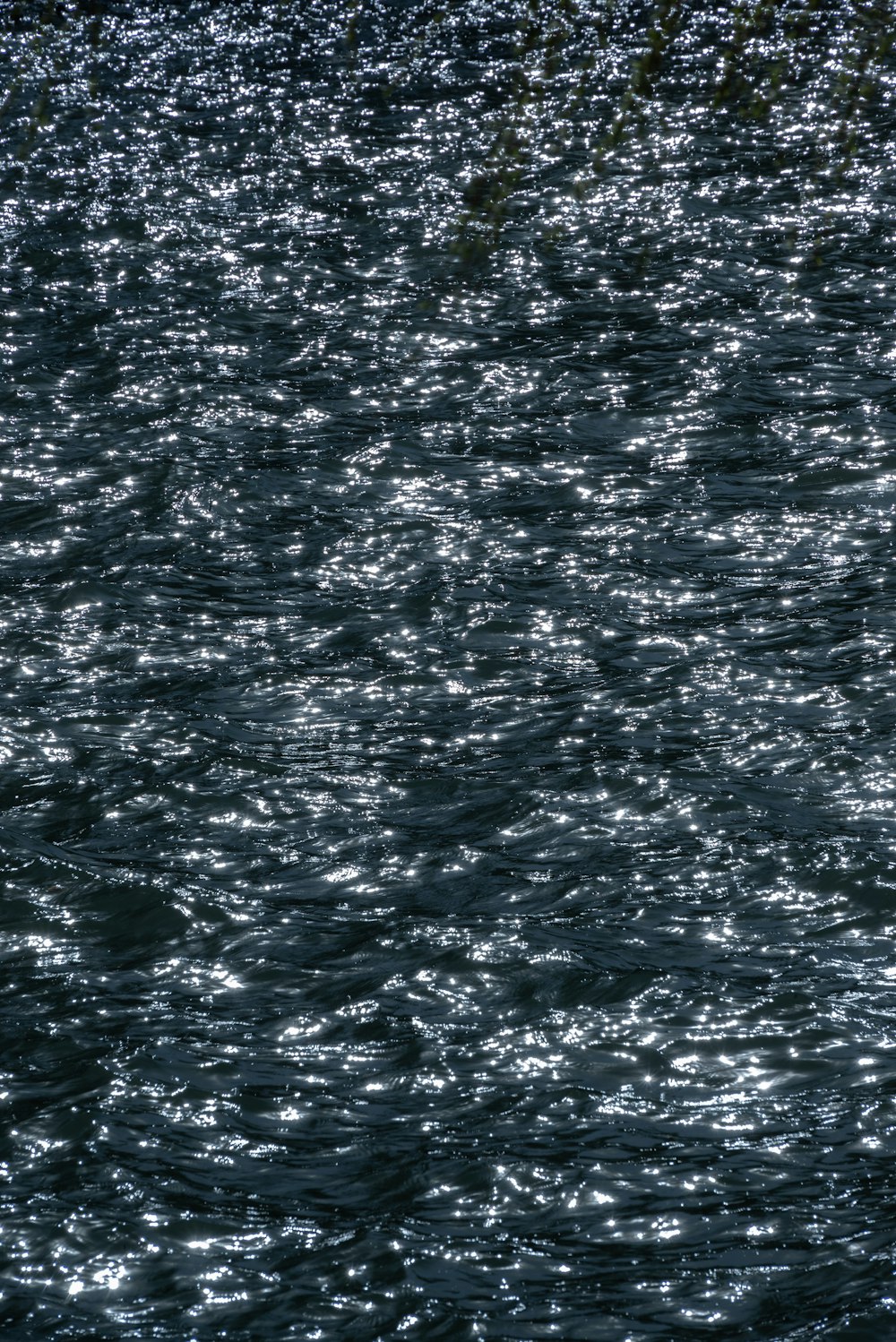 a person riding a surf board on a body of water