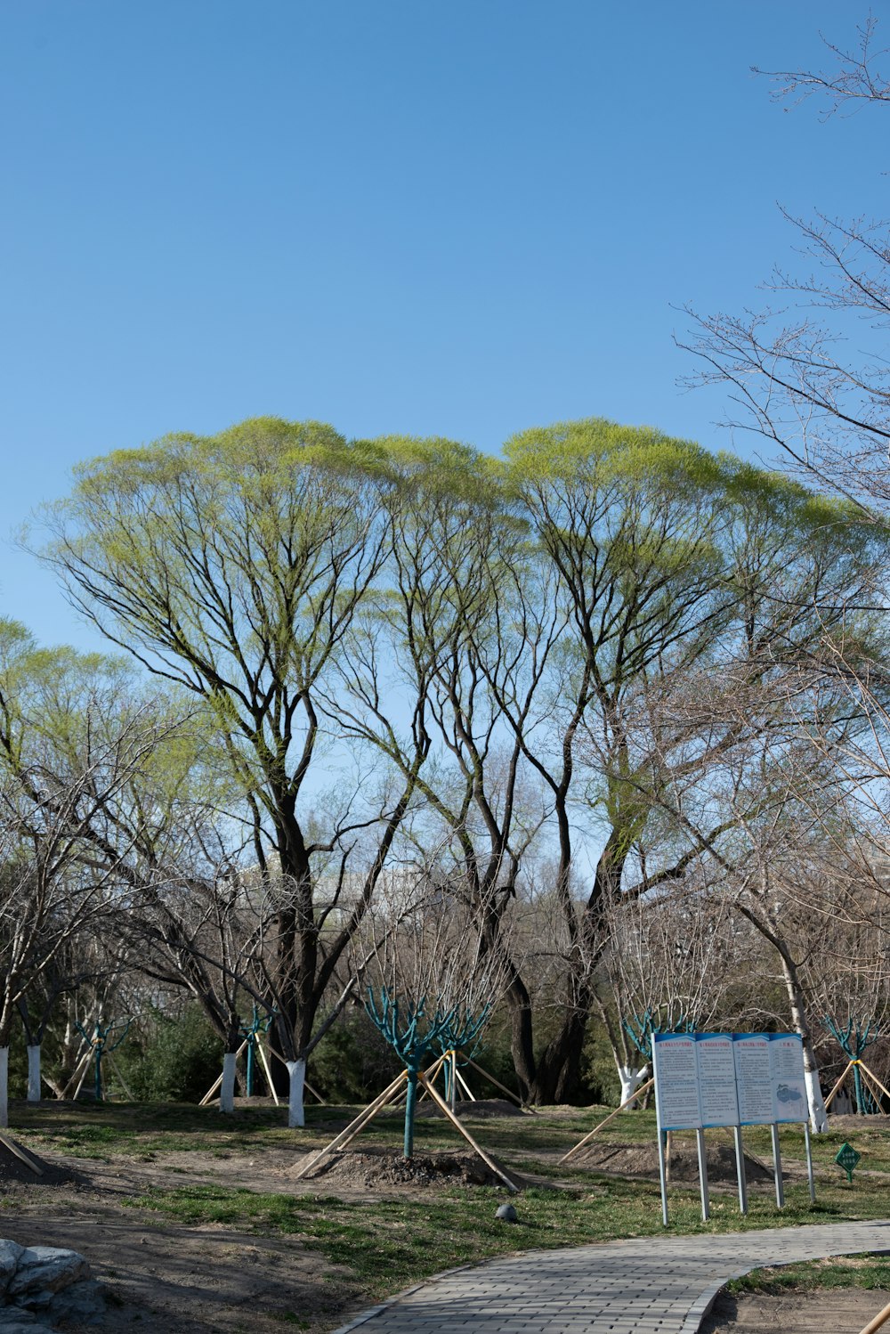 Ein Park mit vielen Bäumen und einem Schild