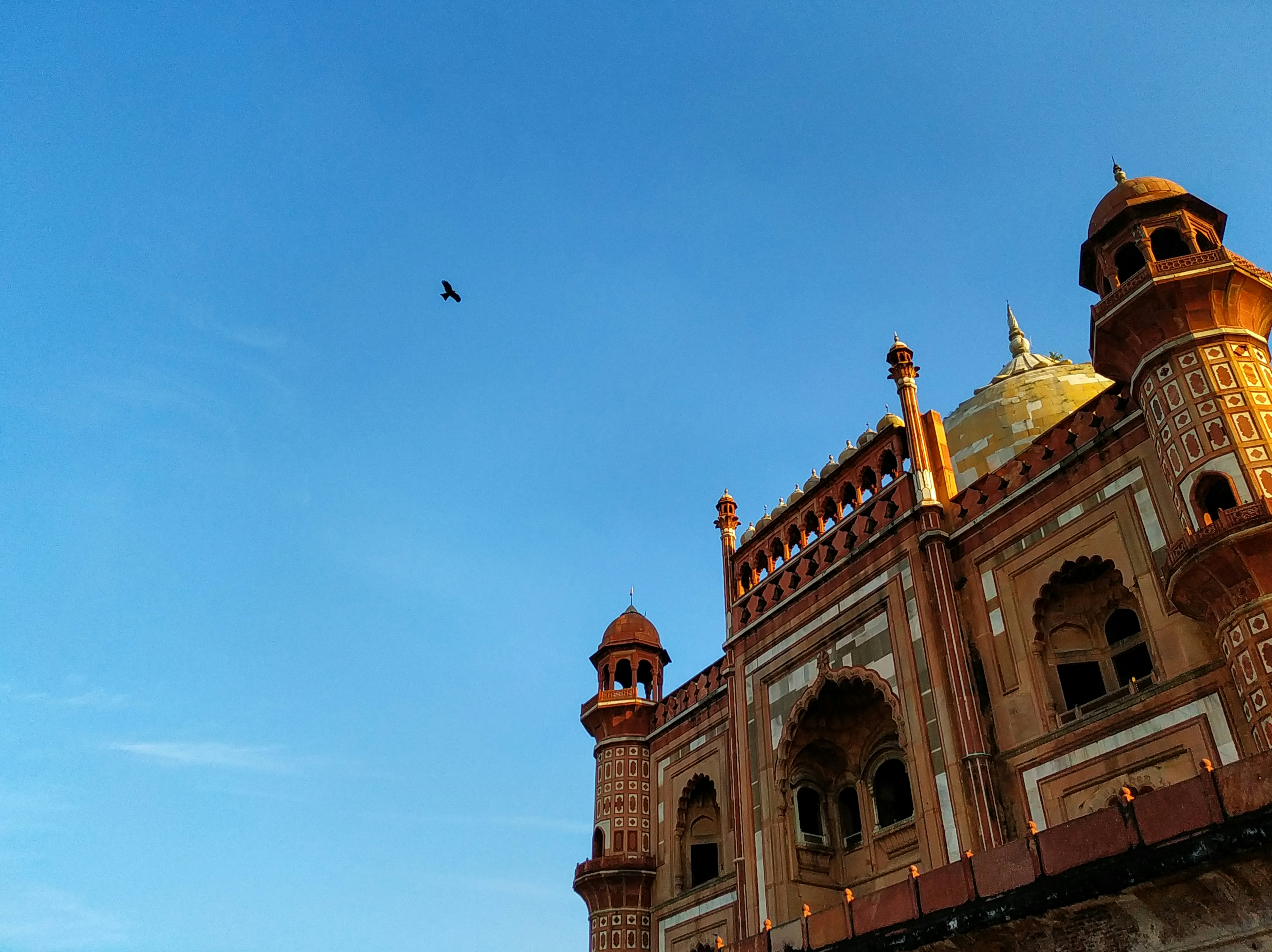 a bird flying in the sky over a building
