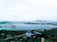 a large body of water surrounded by lush green trees