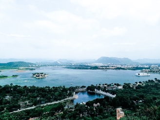a large body of water surrounded by lush green trees
