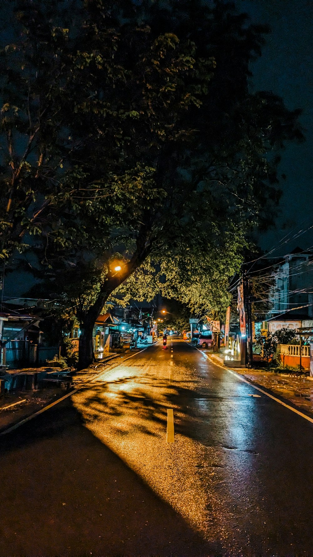 eine Straße in der Nacht mit einer Straßenlaterne, die auf die Straße scheint