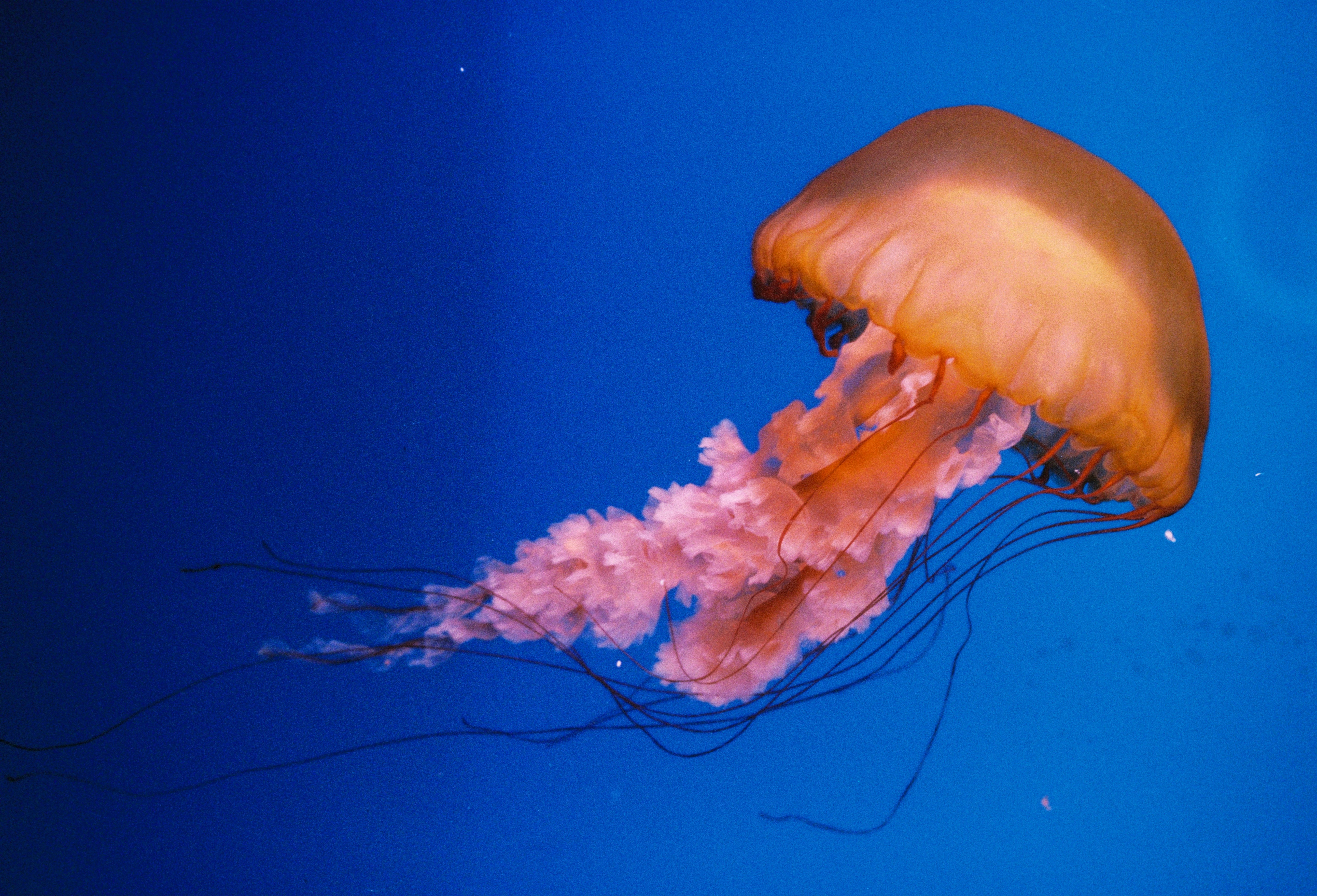 Photo by recordarsew