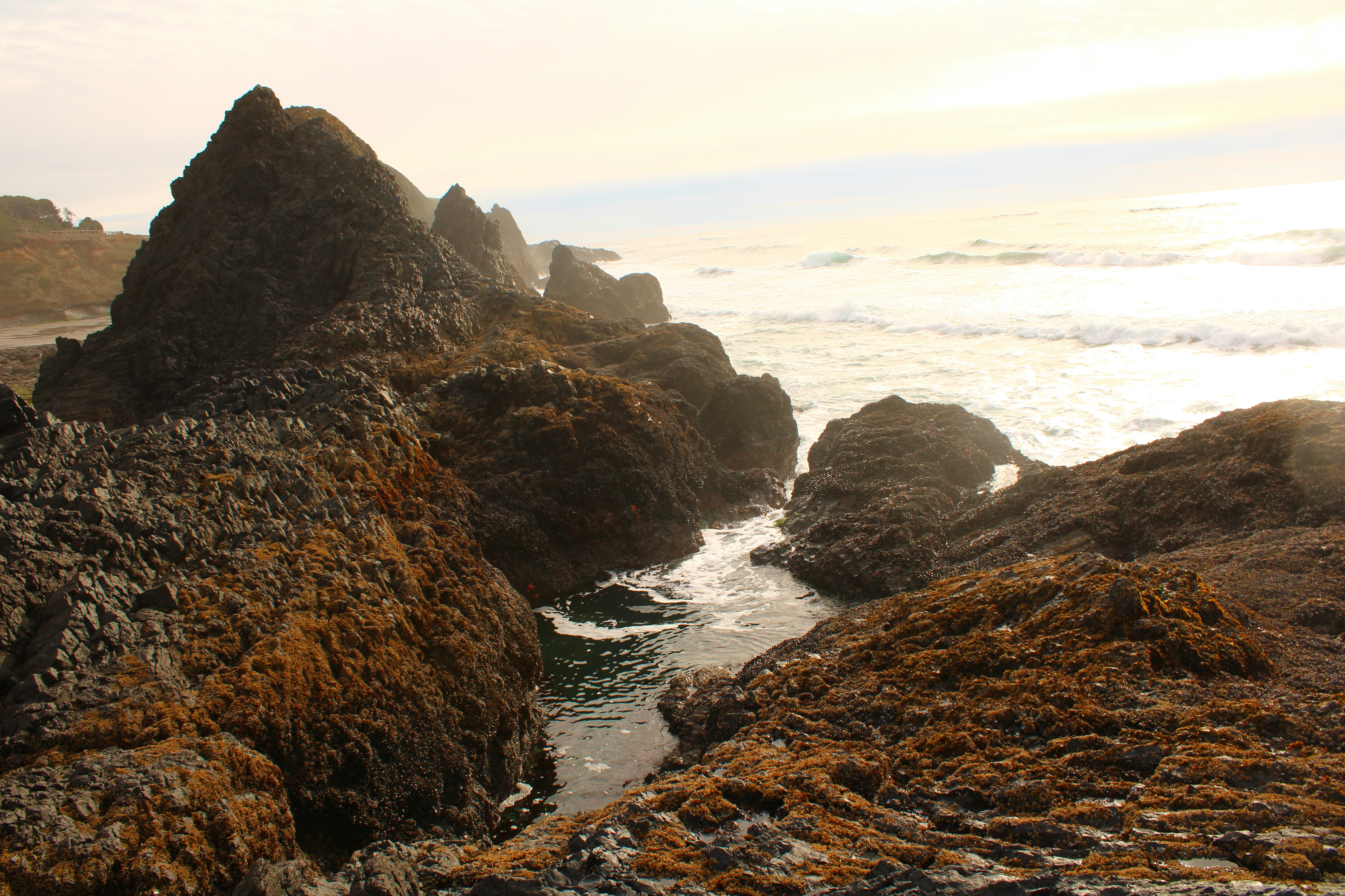 Photo by alisuliman106