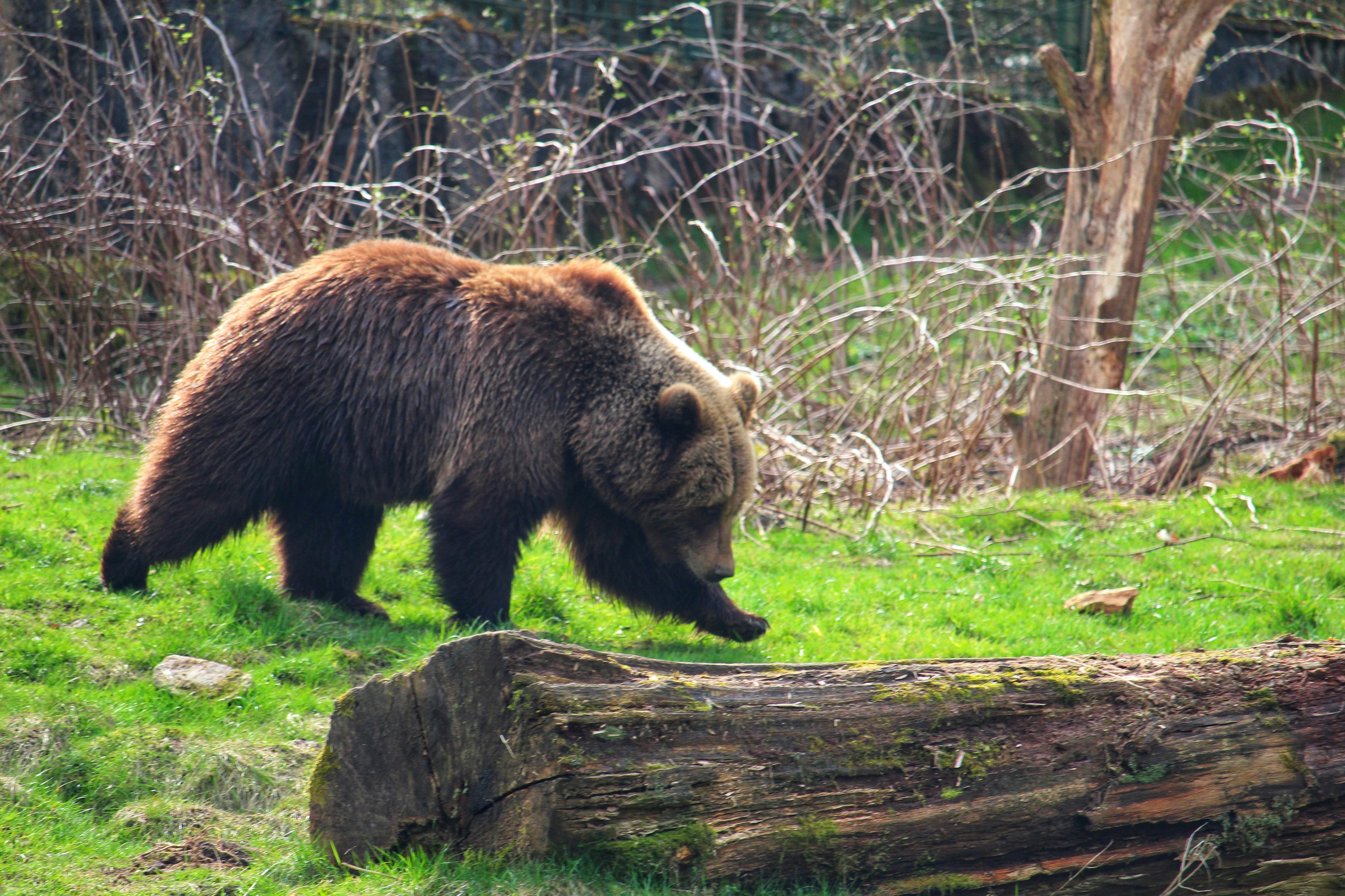 Photo by travel_with_yafee98