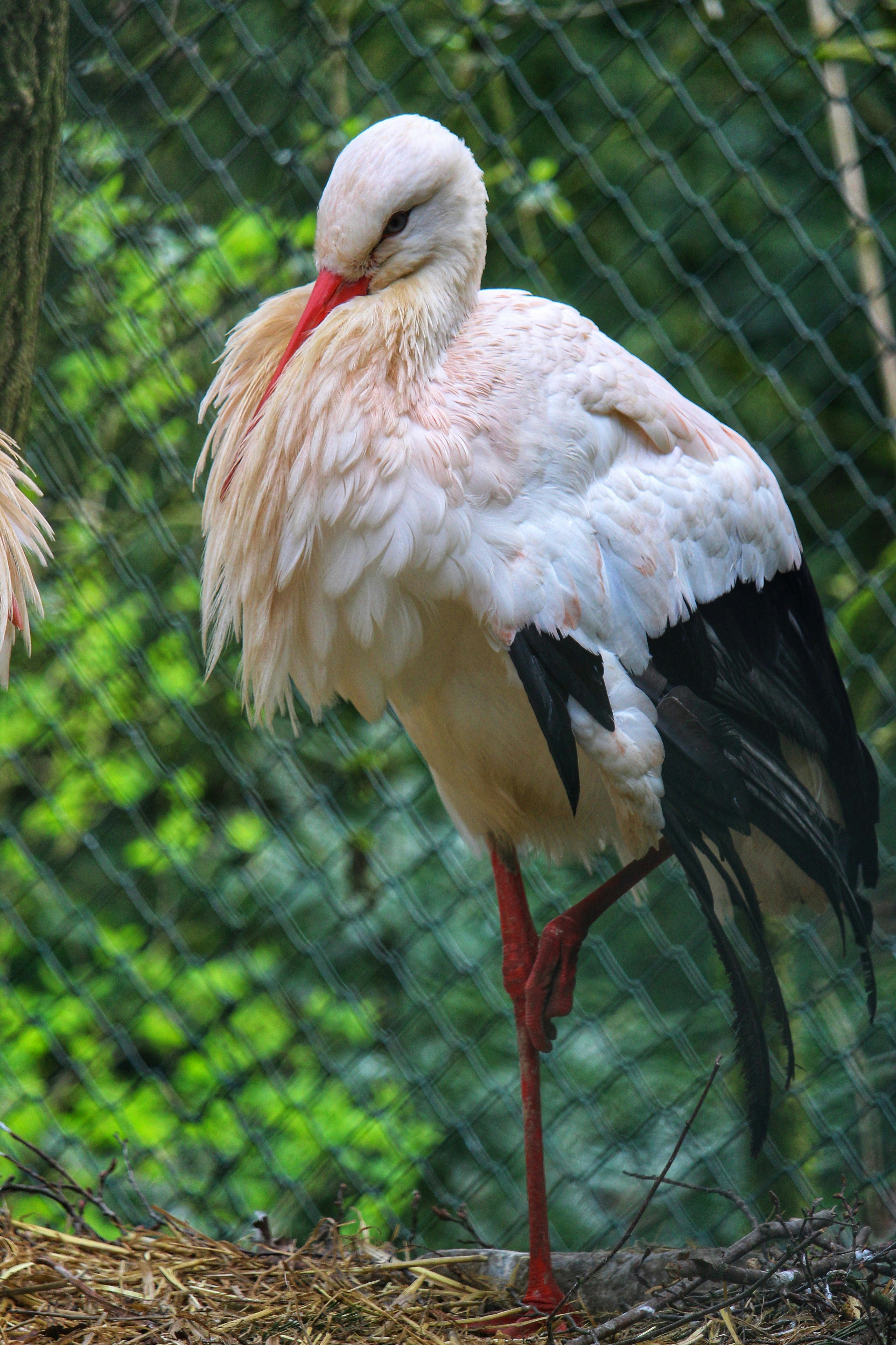 Photo by travel_with_yafee98