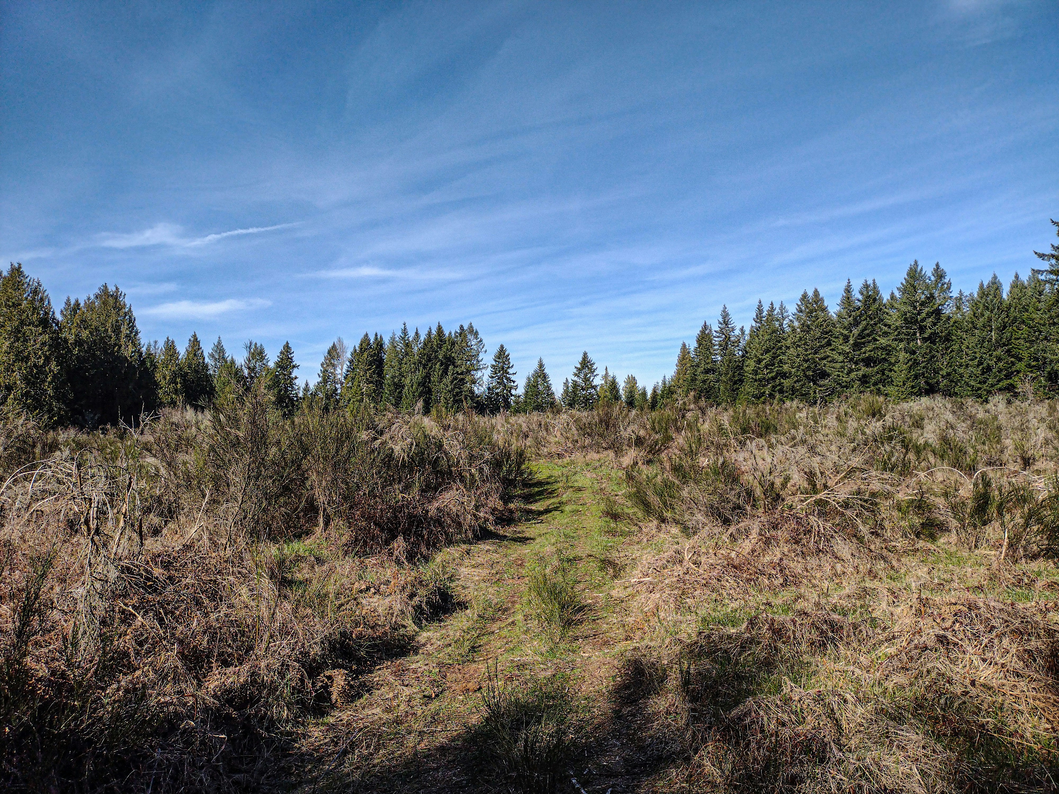 Photo by prphotography262