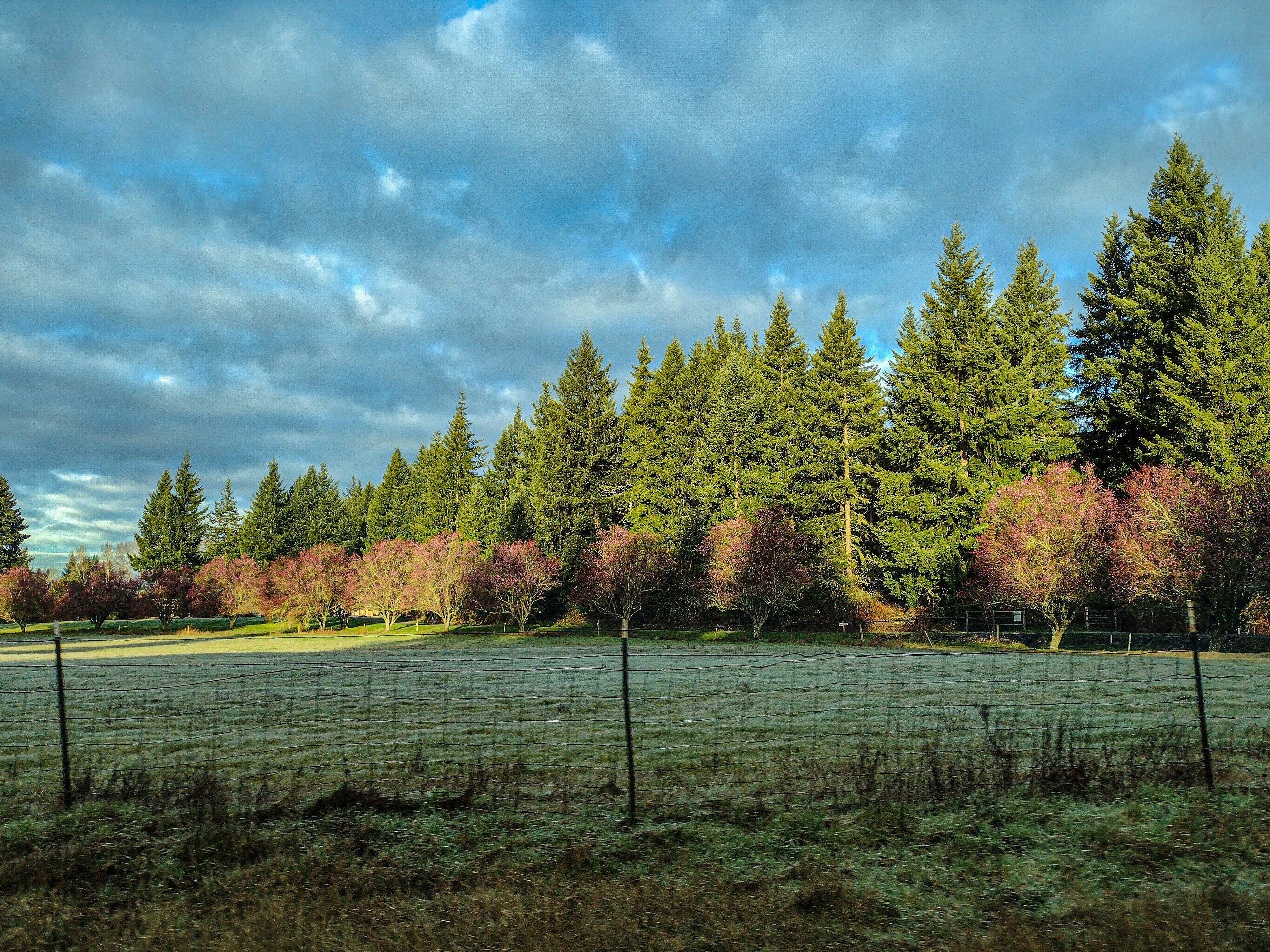 Photo by prphotography262