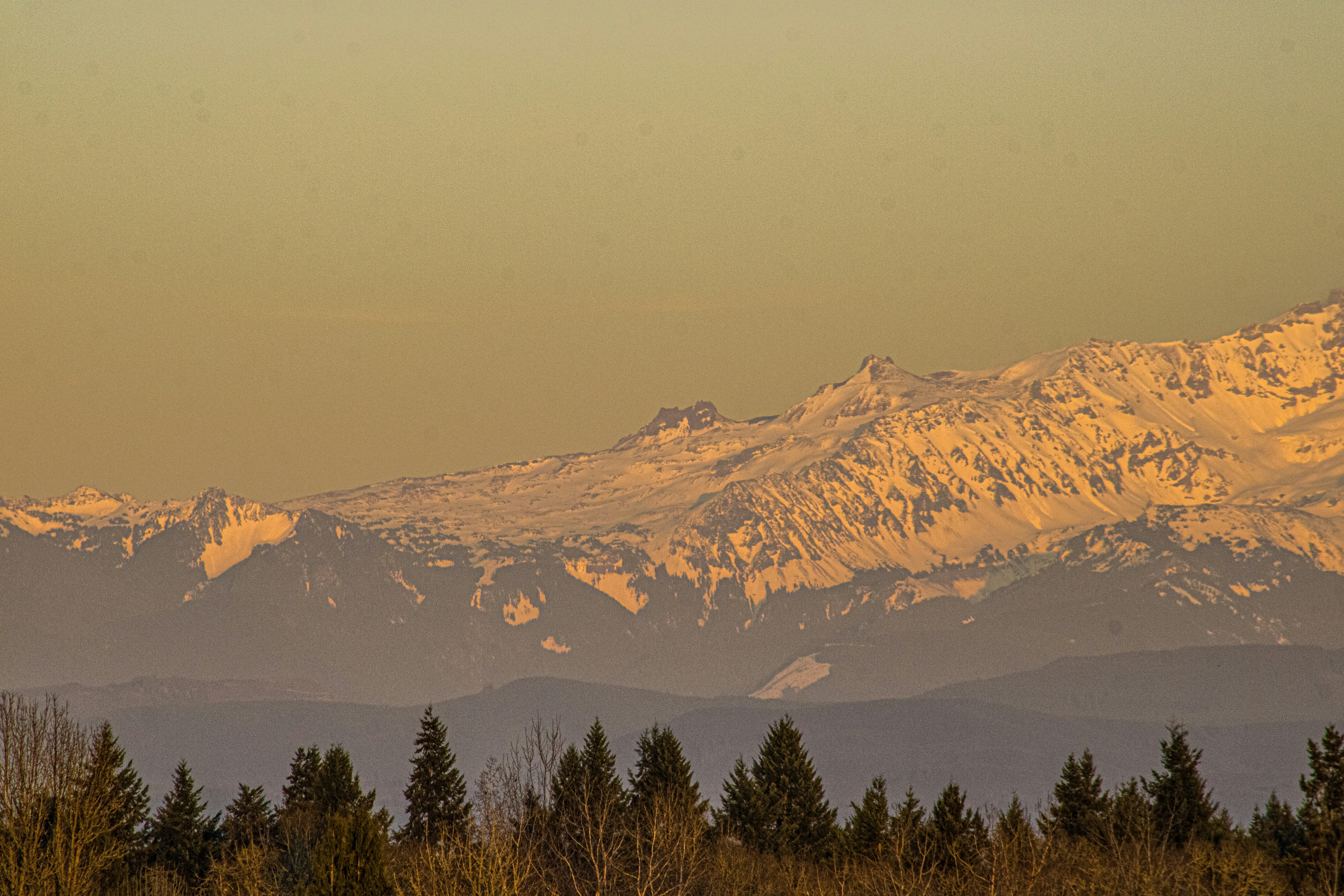 Photo by prphotography262