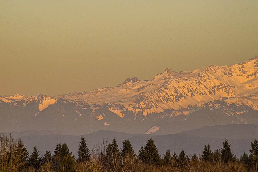 a view of a mountain range with trees in the foreground