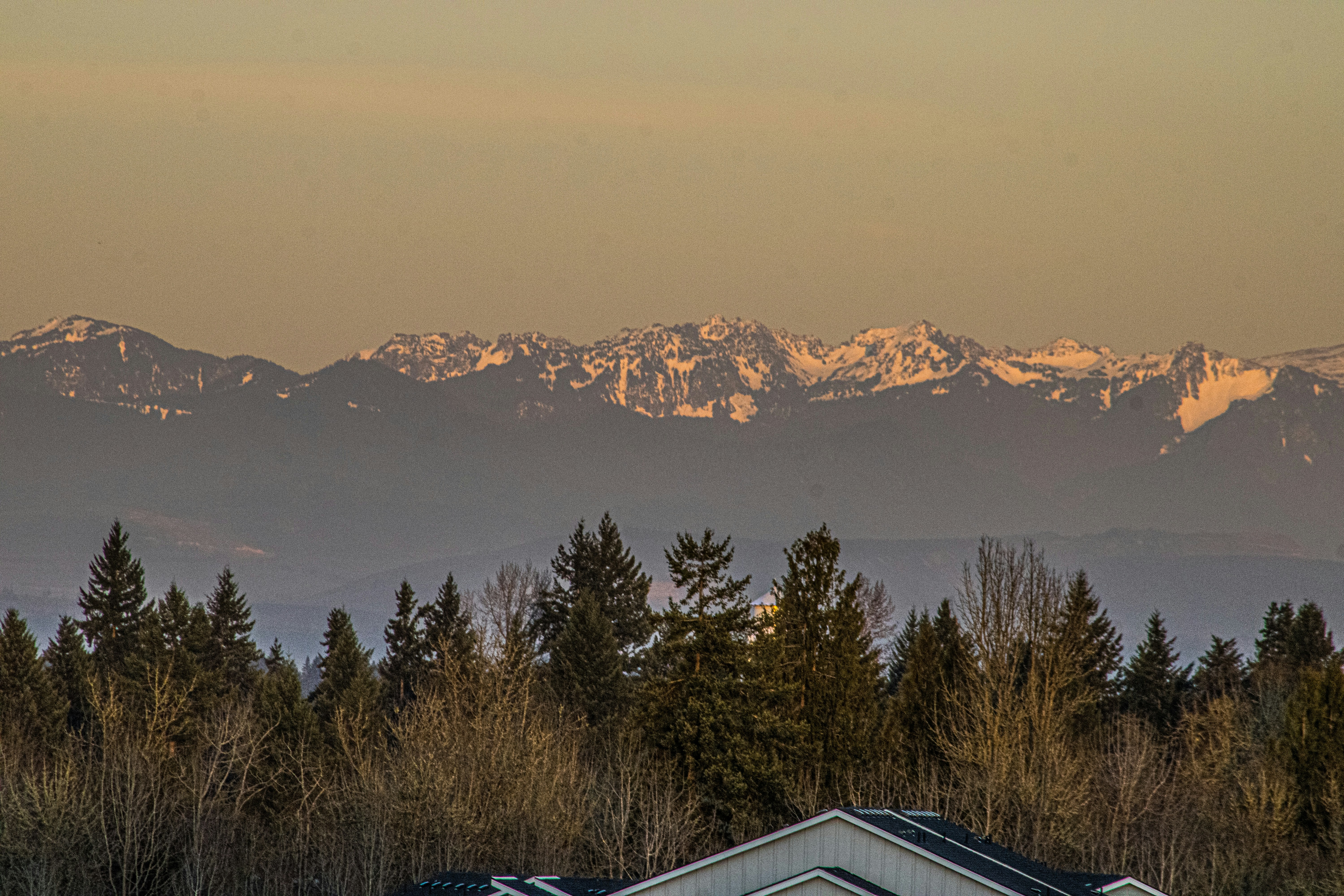 Photo by prphotography262