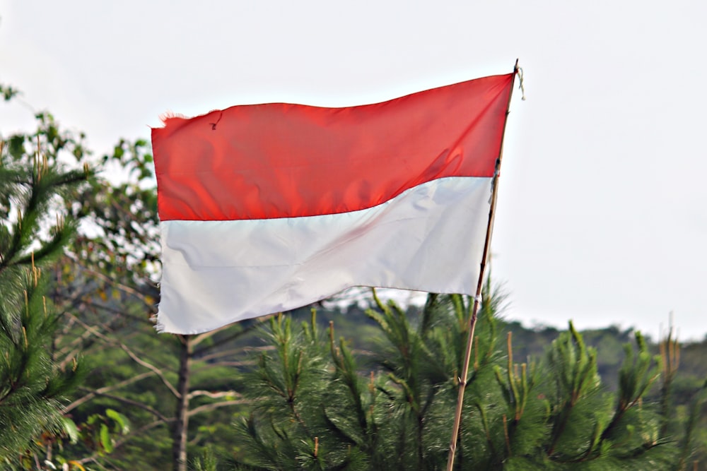 a red white and black flag flying in the air