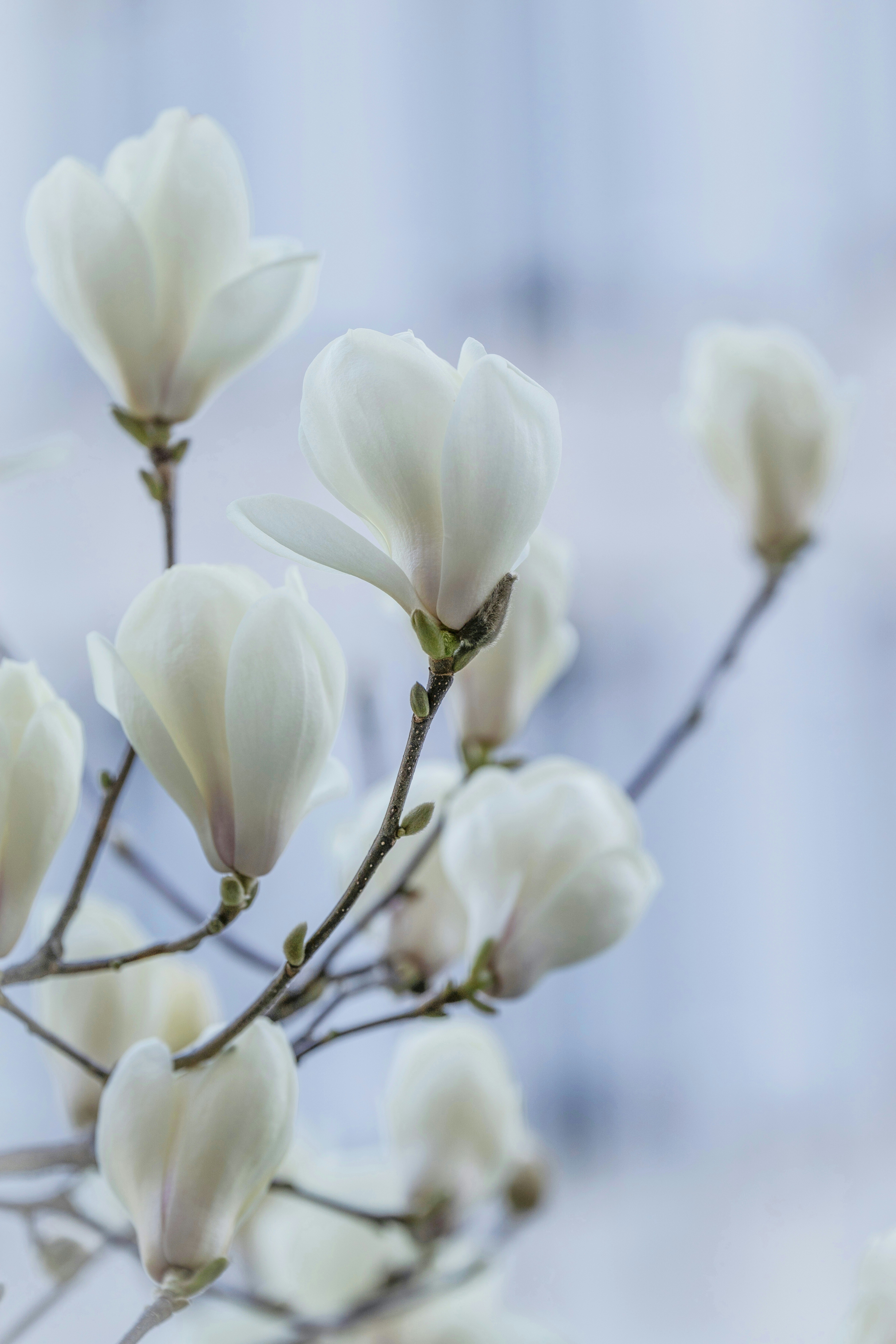 Photo by morningdew_work