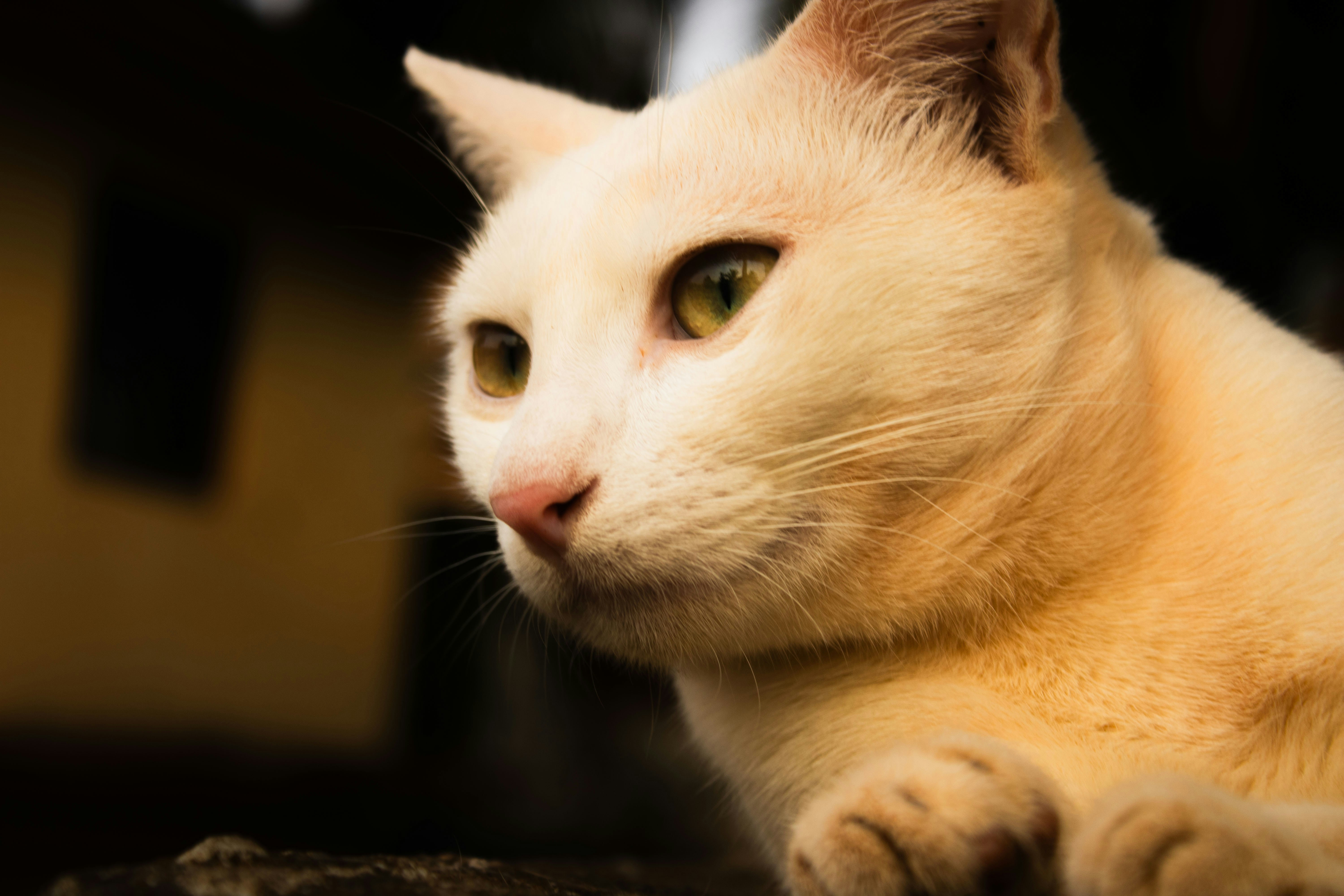 Photo by audumbar999