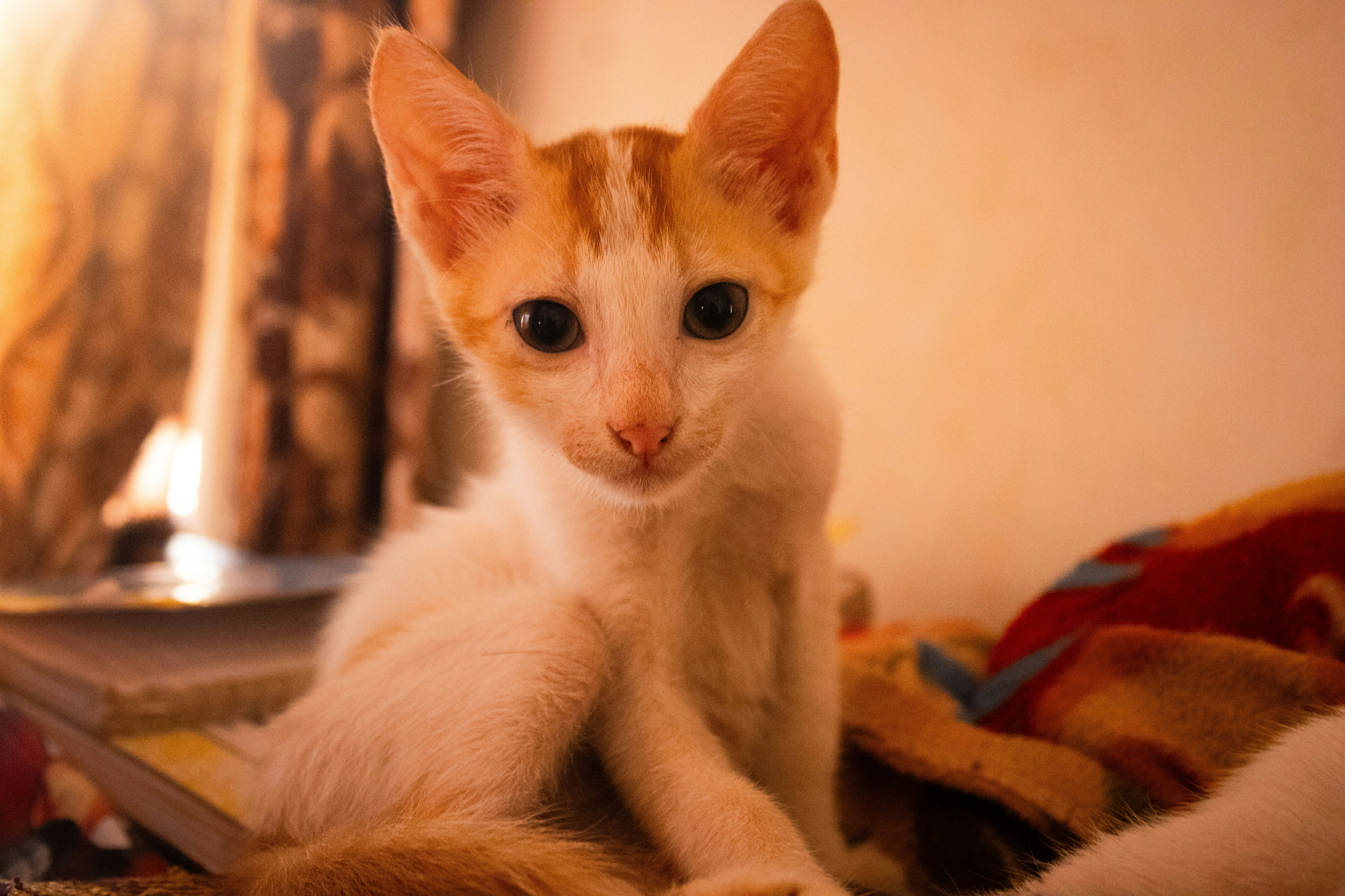 Photo by audumbar999