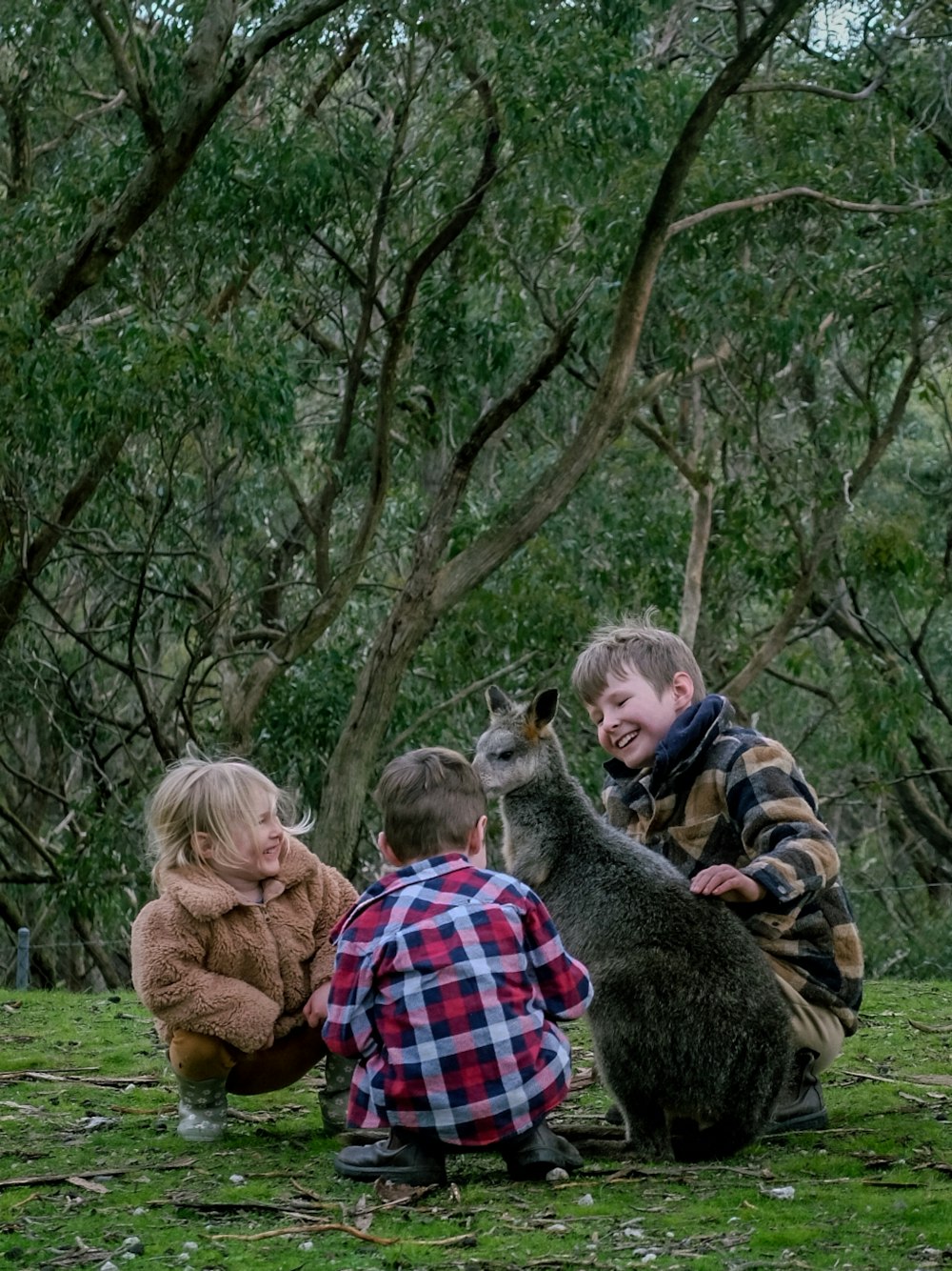 a couple of kids that are petting a kangaroo