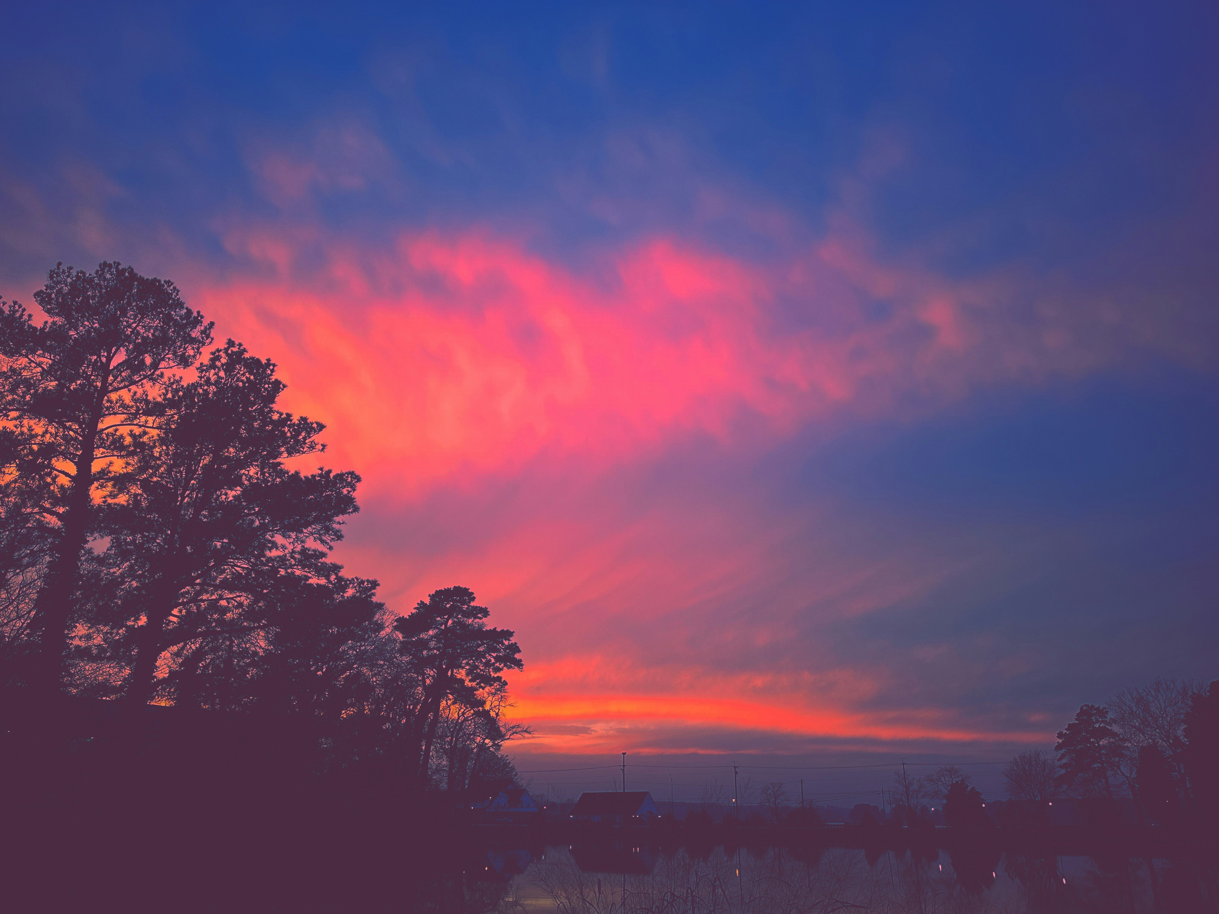 Photo by coda_the_dragon