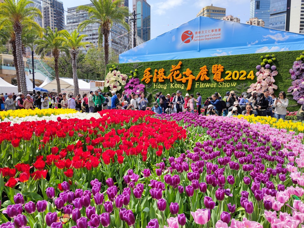 a large display of colorful flowers in a park