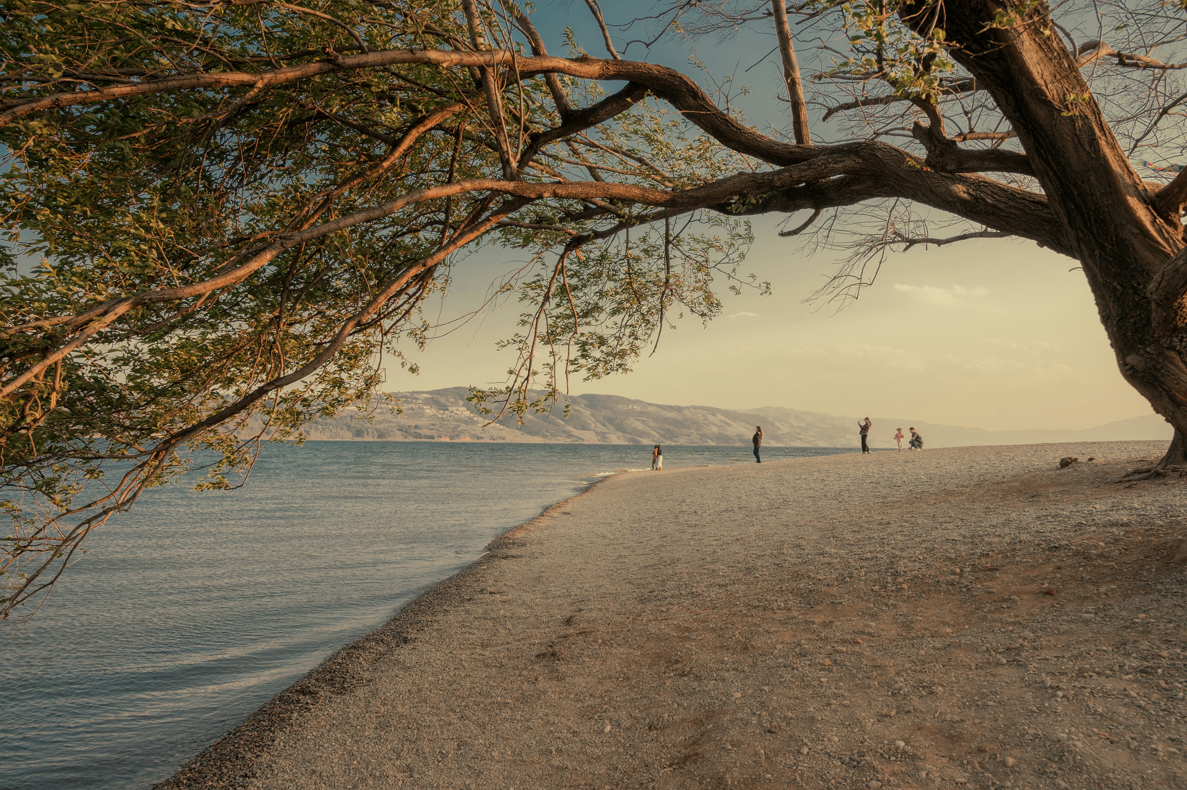 Photo by vincent_tint