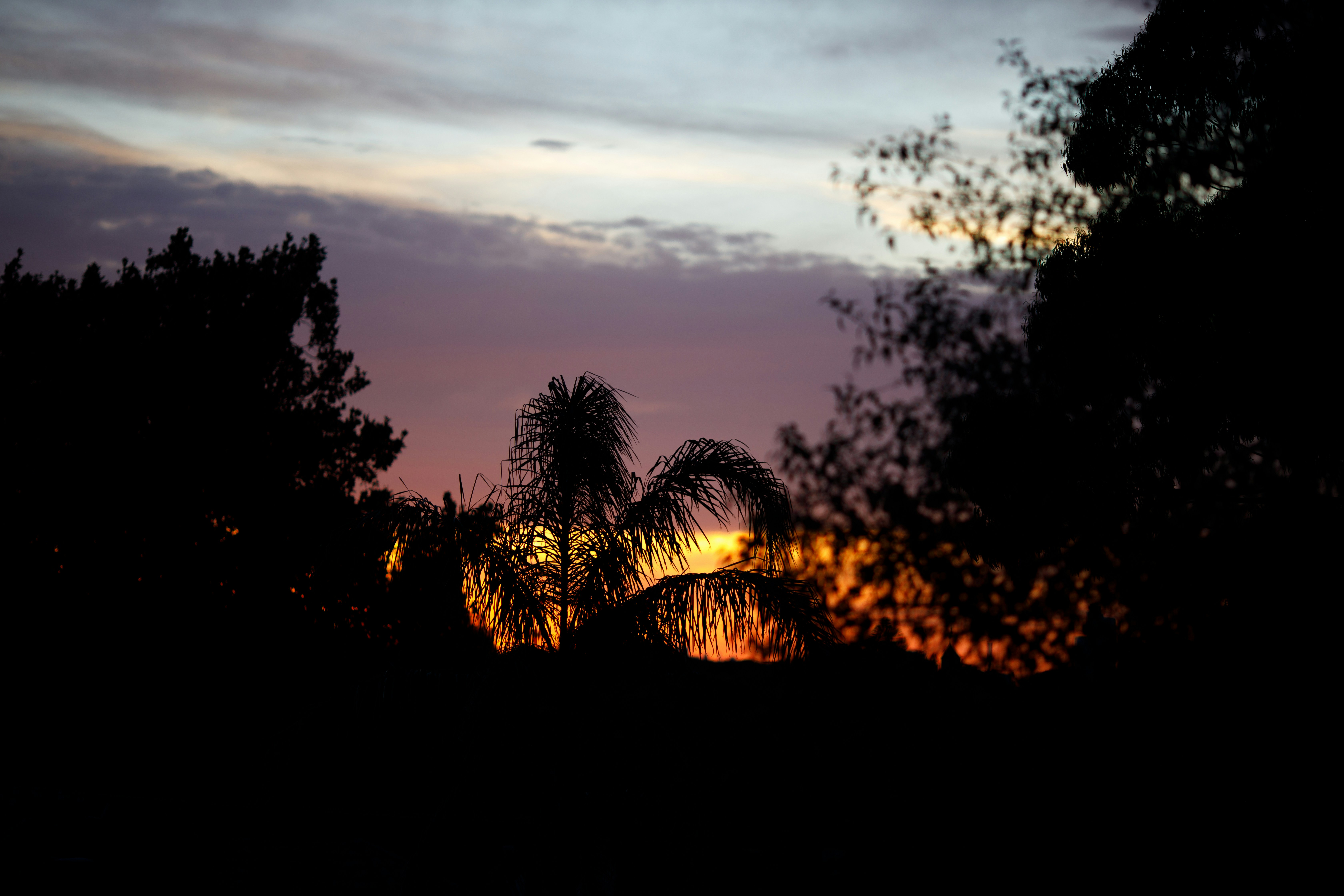 Photo by namelessphotos