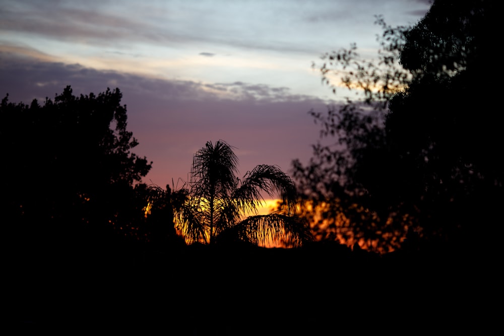 the sun is setting behind some trees