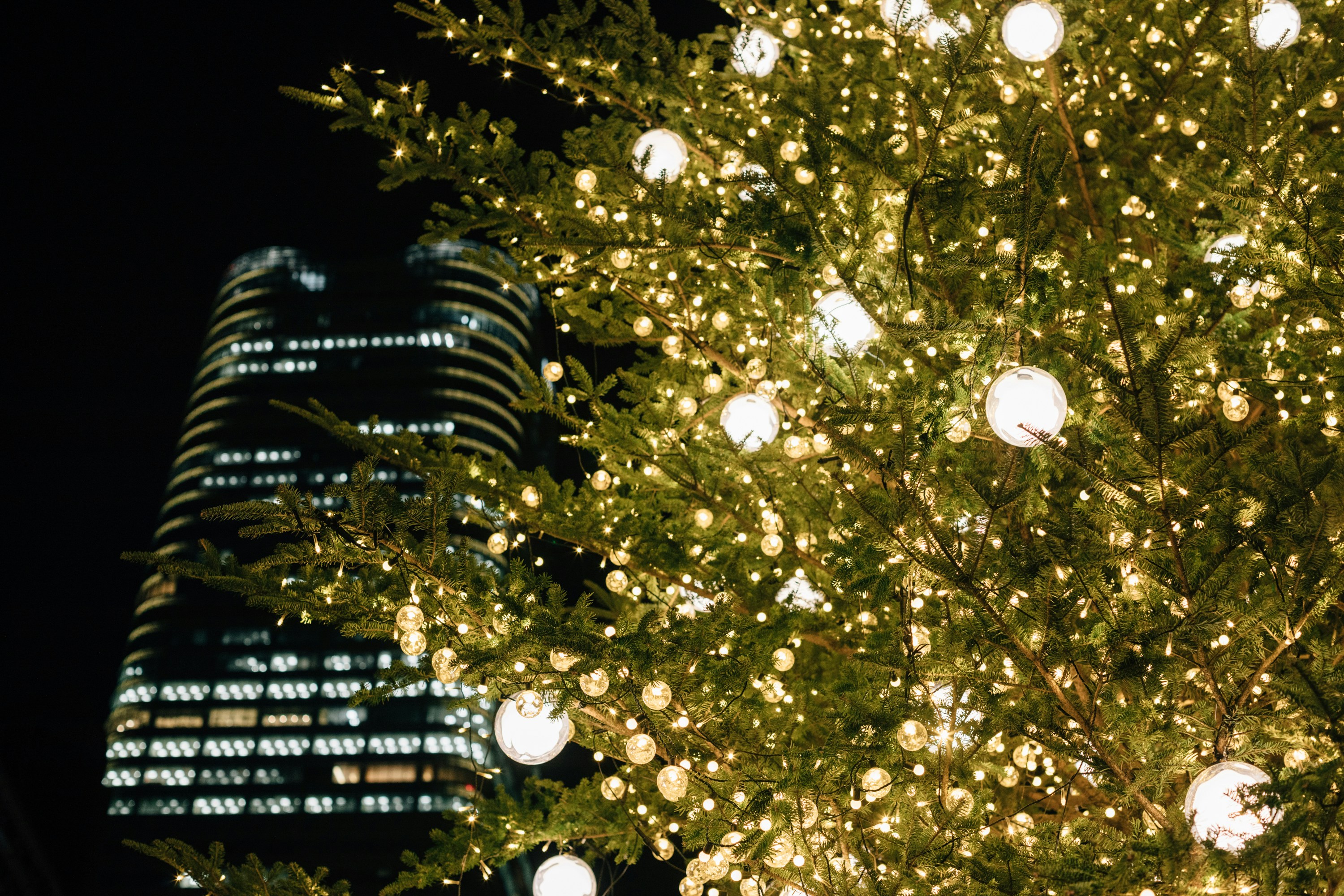 Photo by tsuyoshikozu