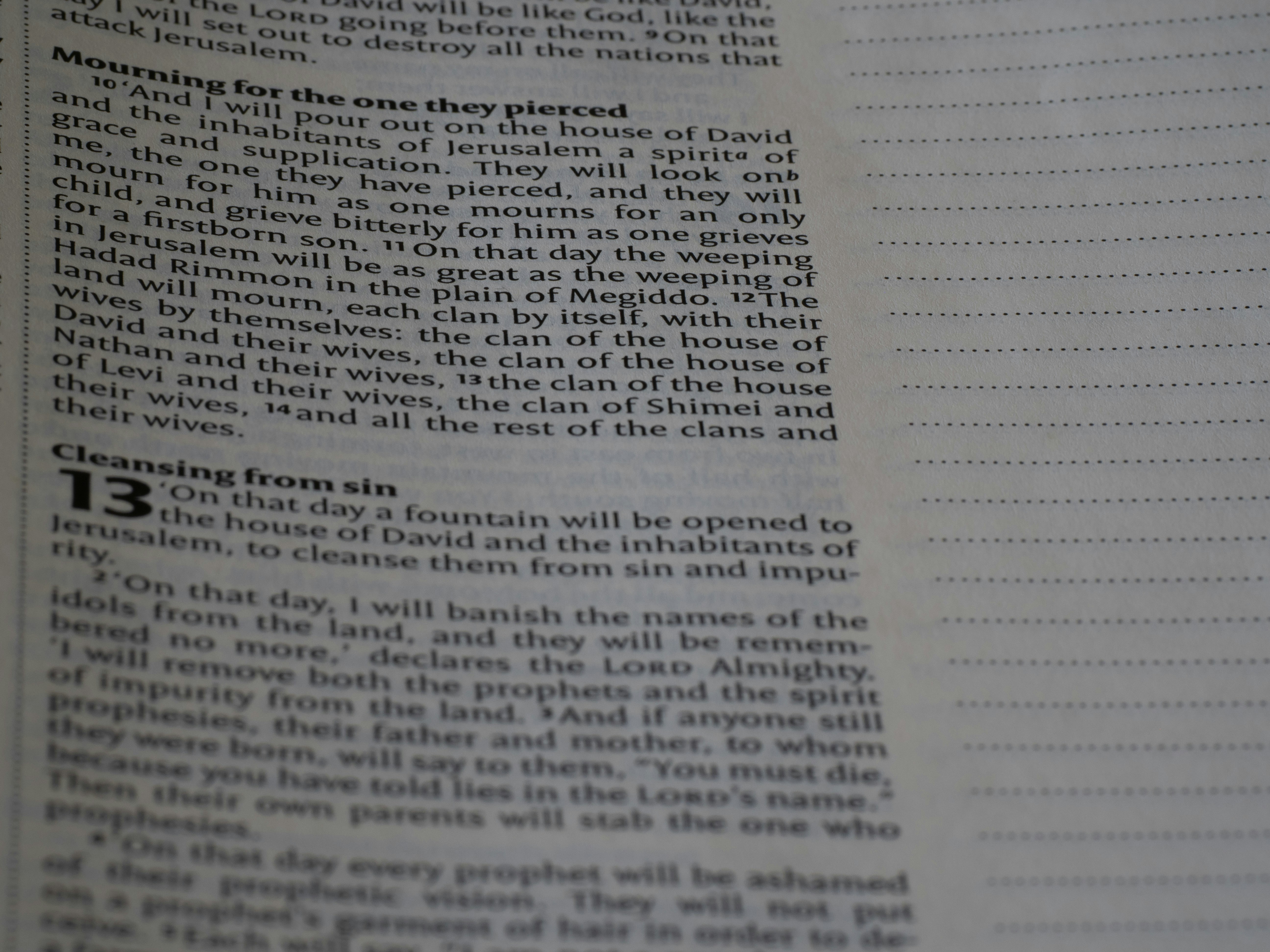 Photo by brett_jordan