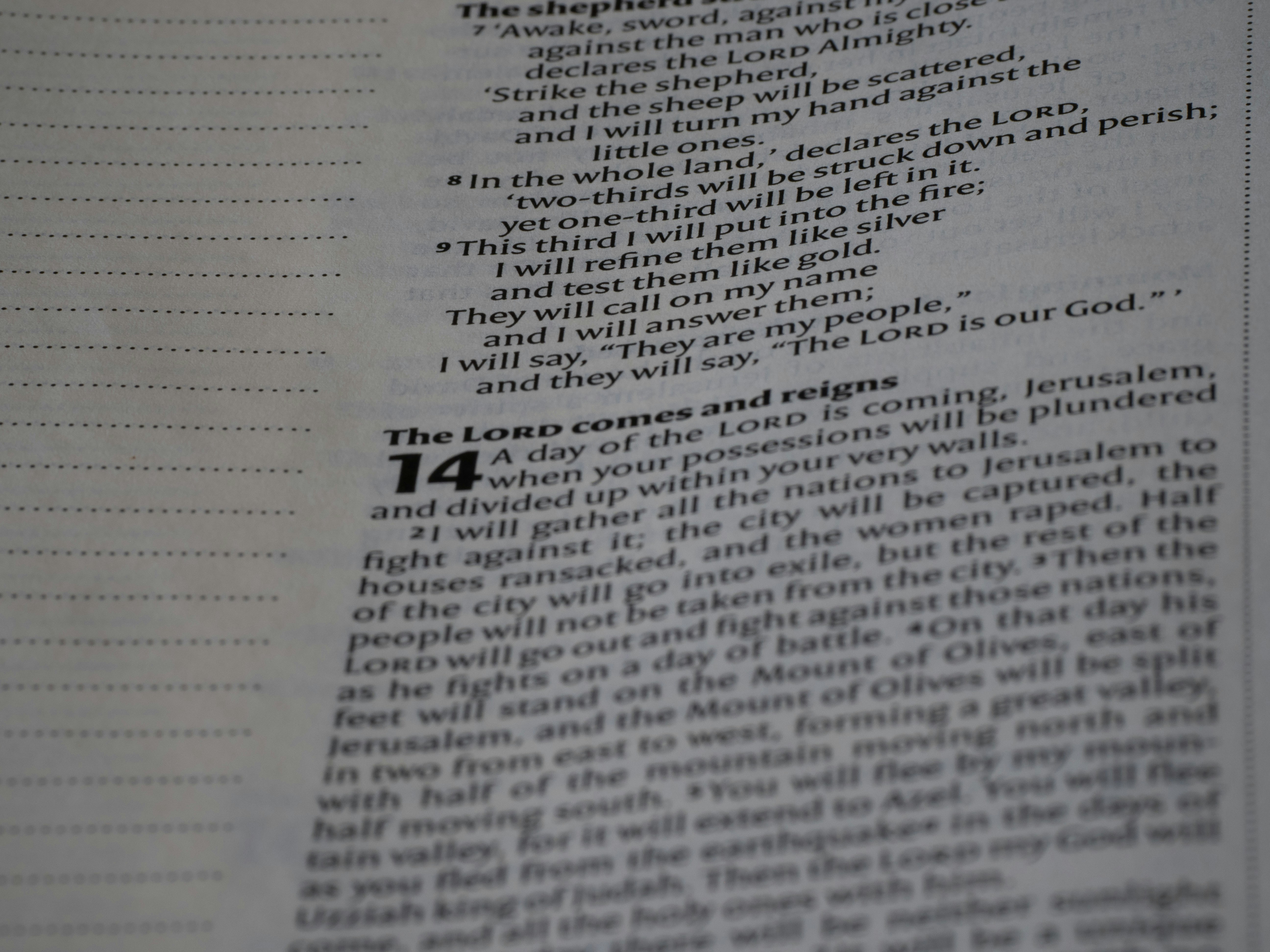 Photo by brett_jordan