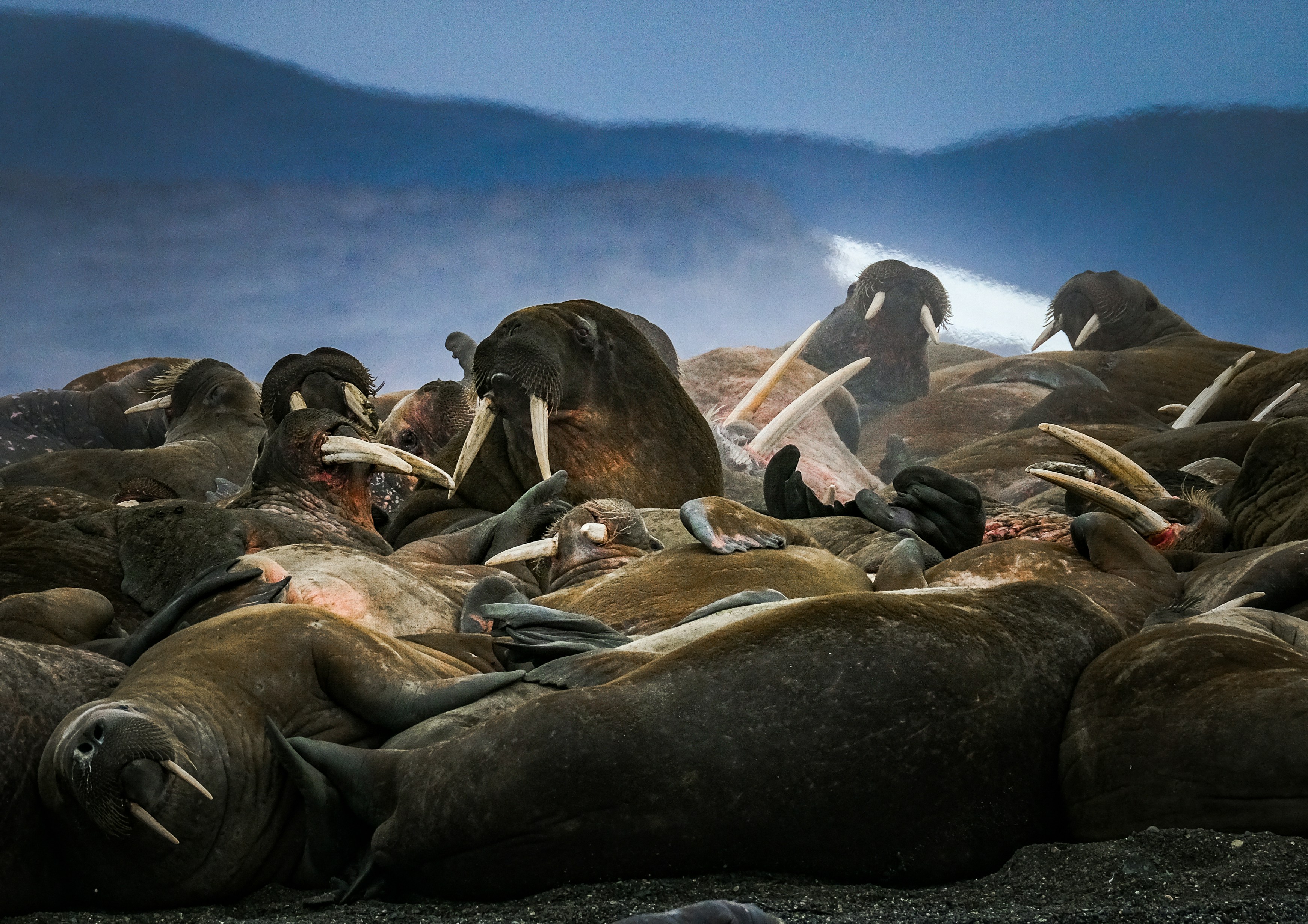 Photo by francesco_ungaro