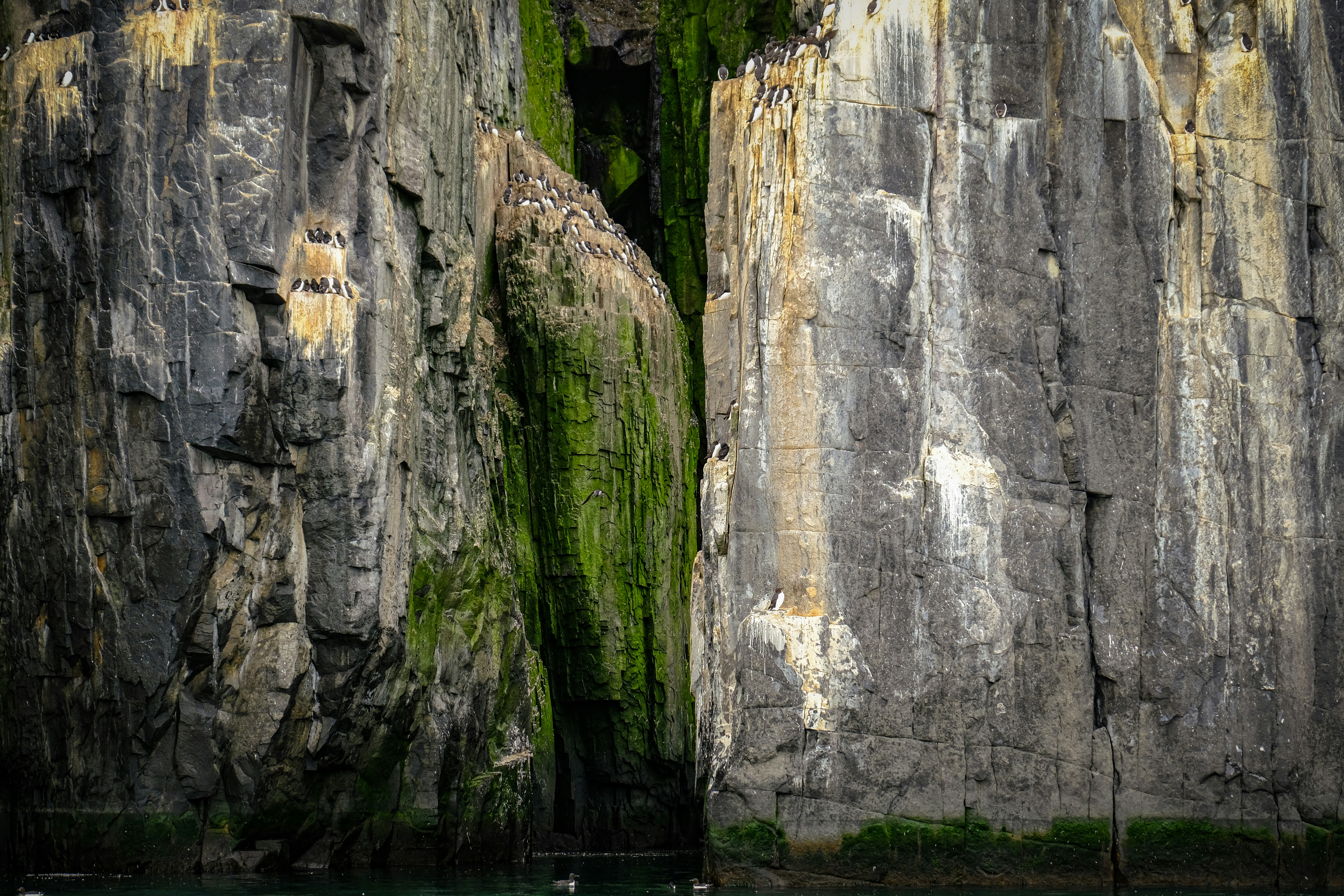 Photo by francesco_ungaro